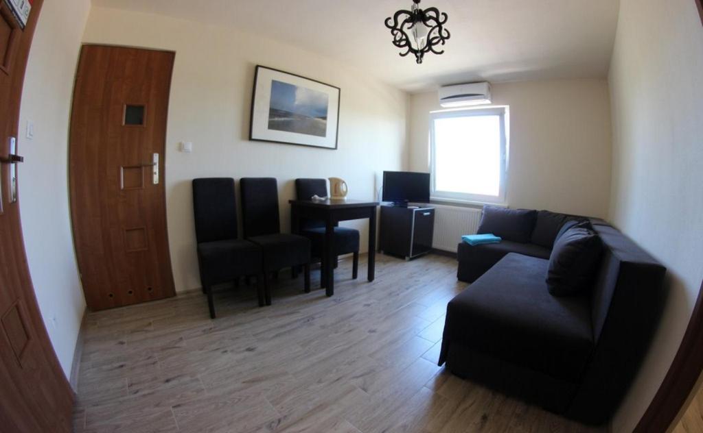 Family Room photo 3