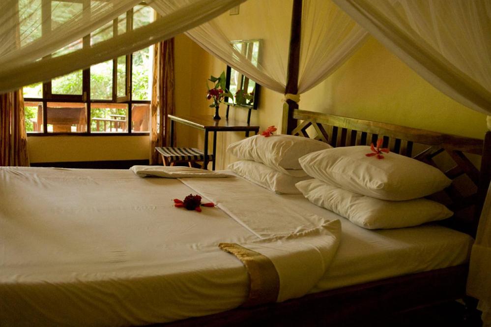 Deluxe King Room photo 1