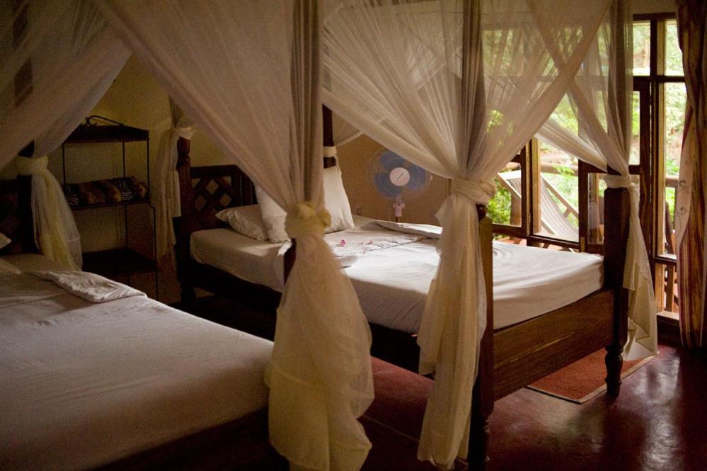 Comfort Triple Room With Shower photo 2