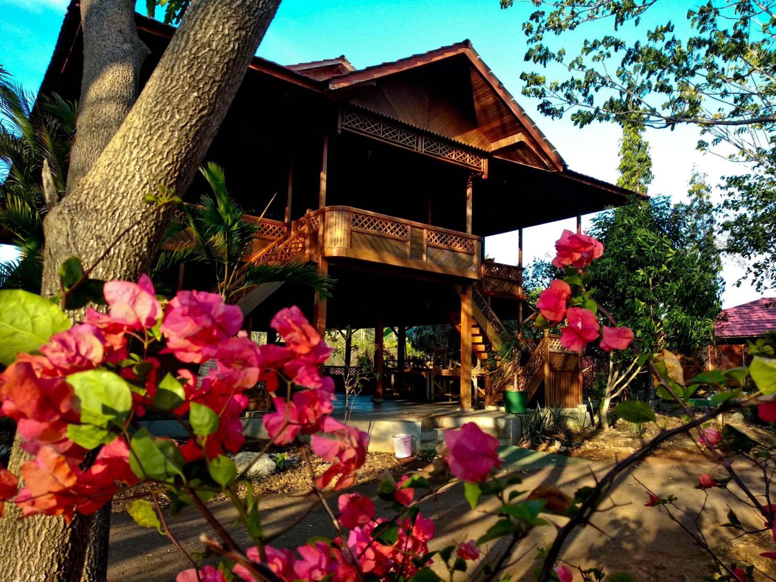 Family Bungalow photo 3