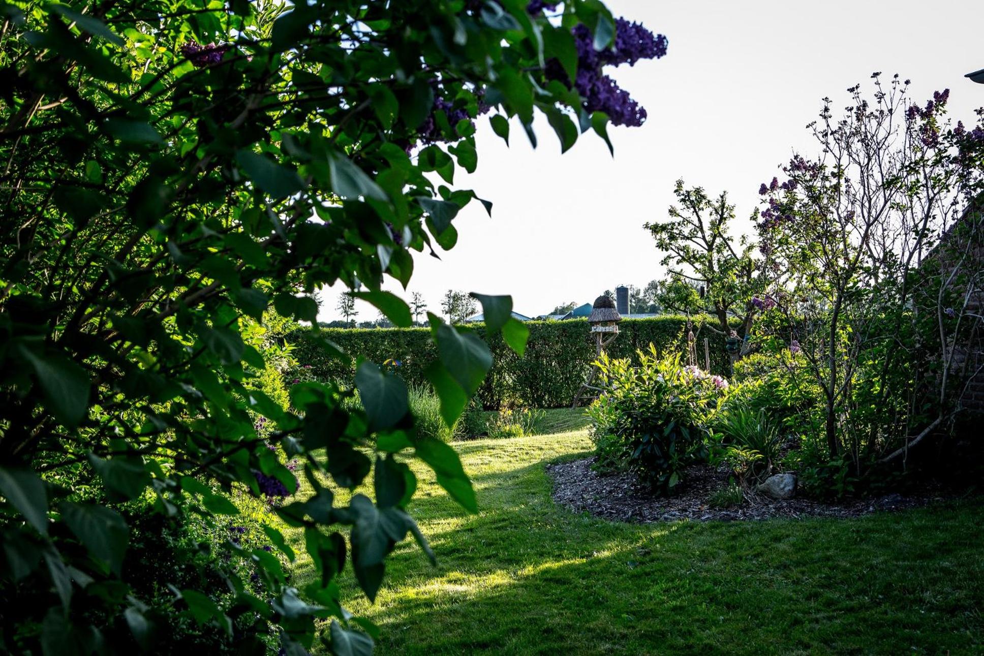 Apartment with Garden View - Photo 19