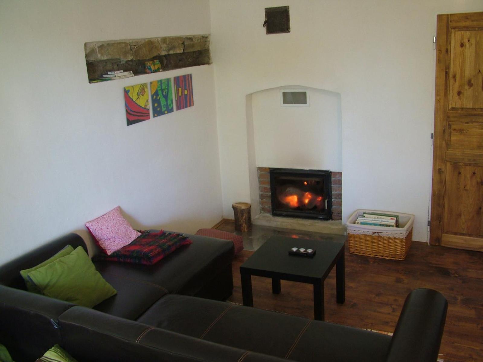 Apartment with Fireplace - Photo 1