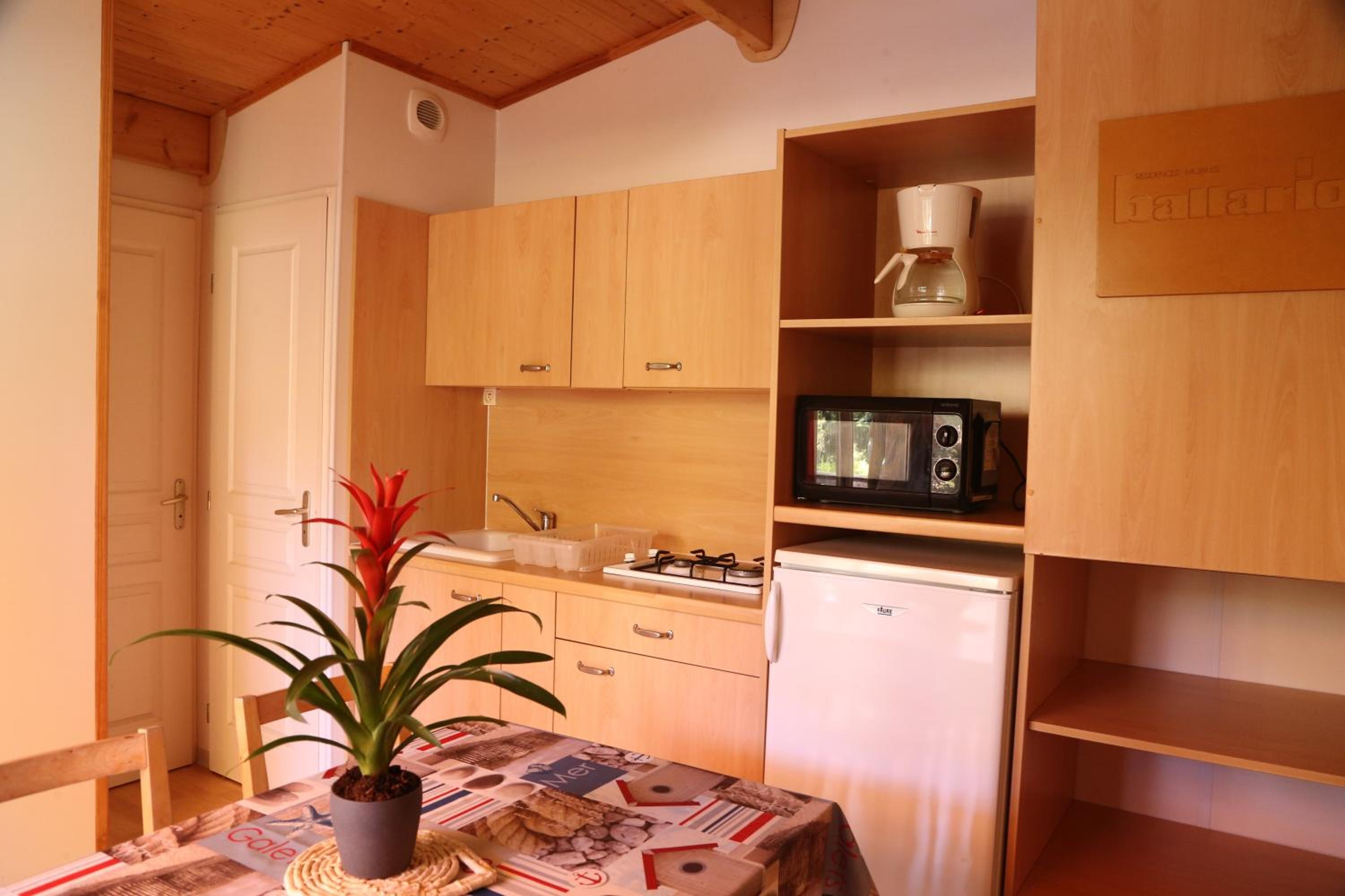 Mobile Home photo 2