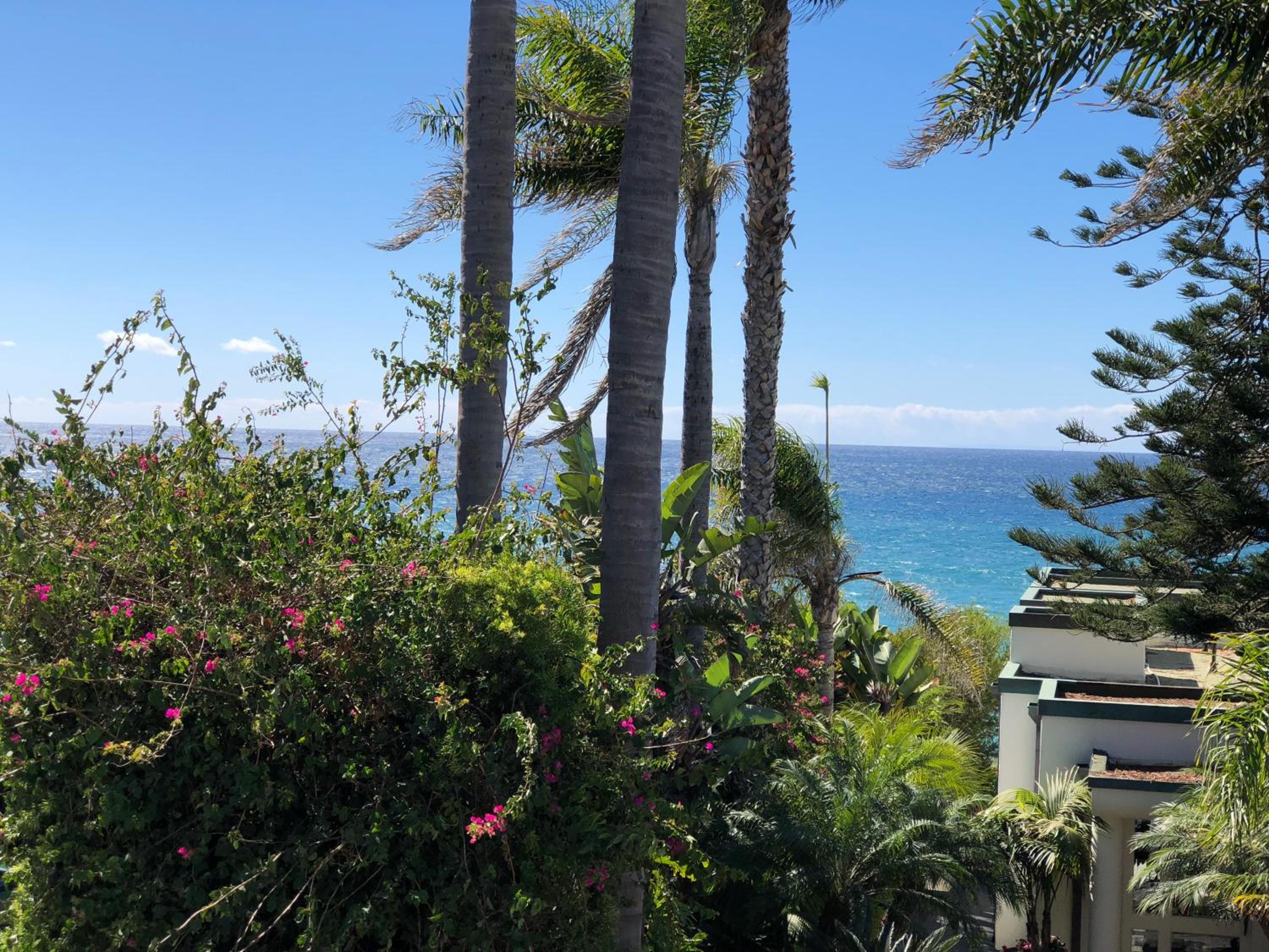 Classic Suite - Ocean View With Balcony photo 3