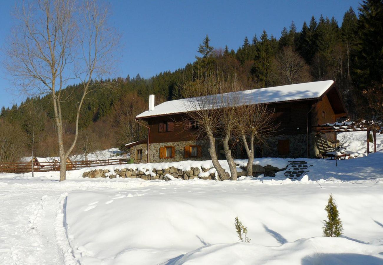 Seven-Bedroom House photo 2
