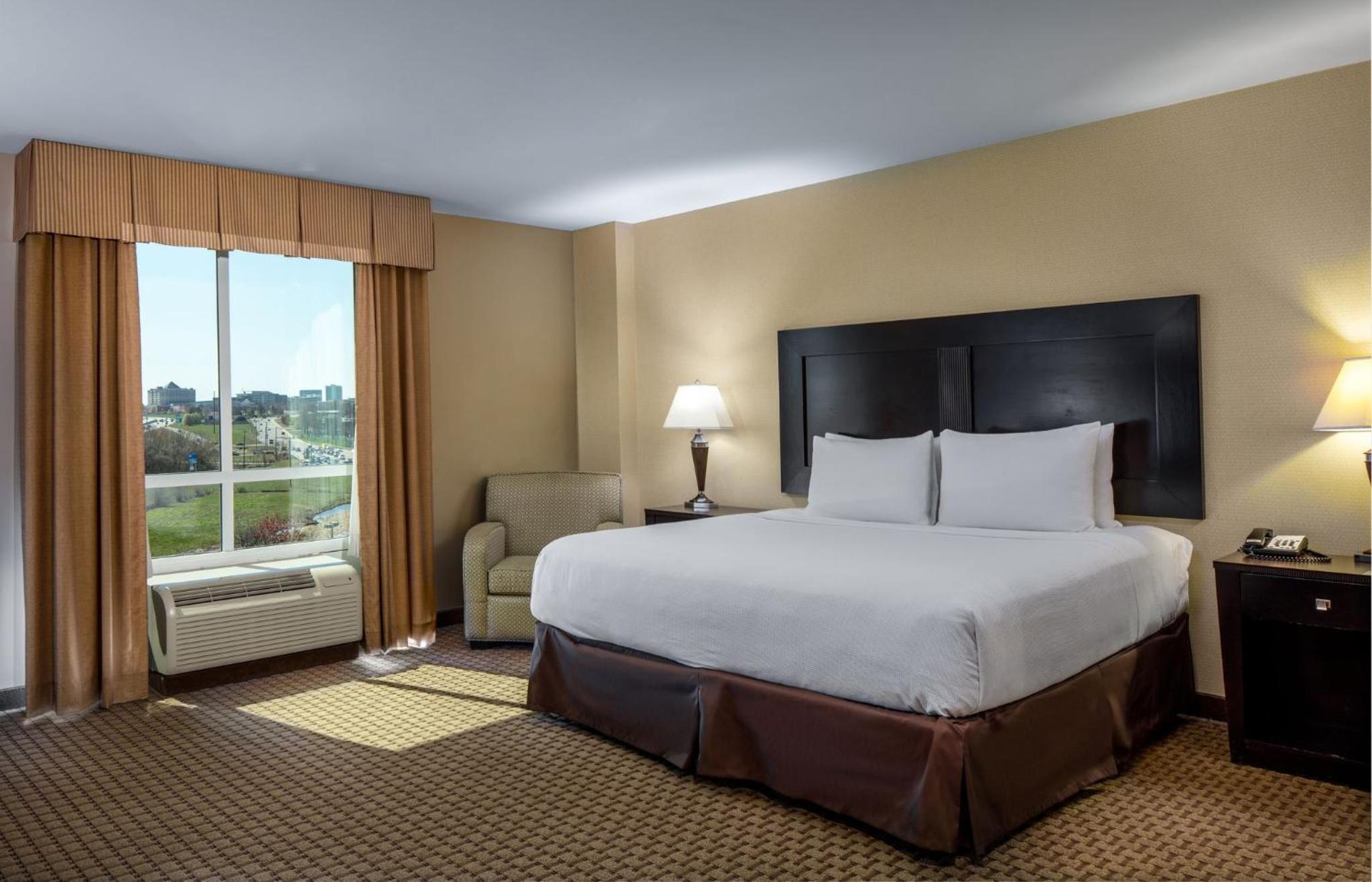 King Room photo 1