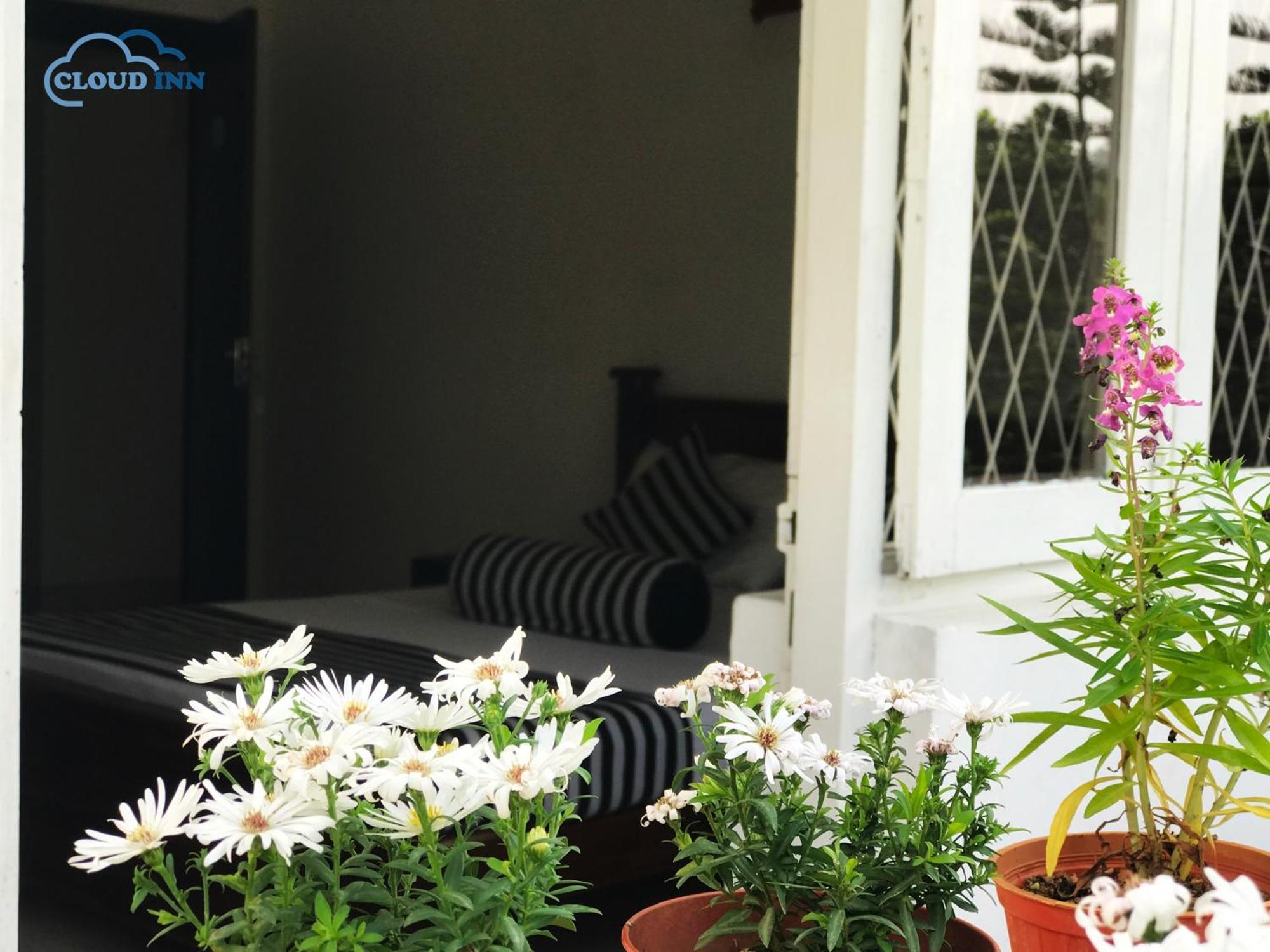 Triple Room with Terrace photo 2