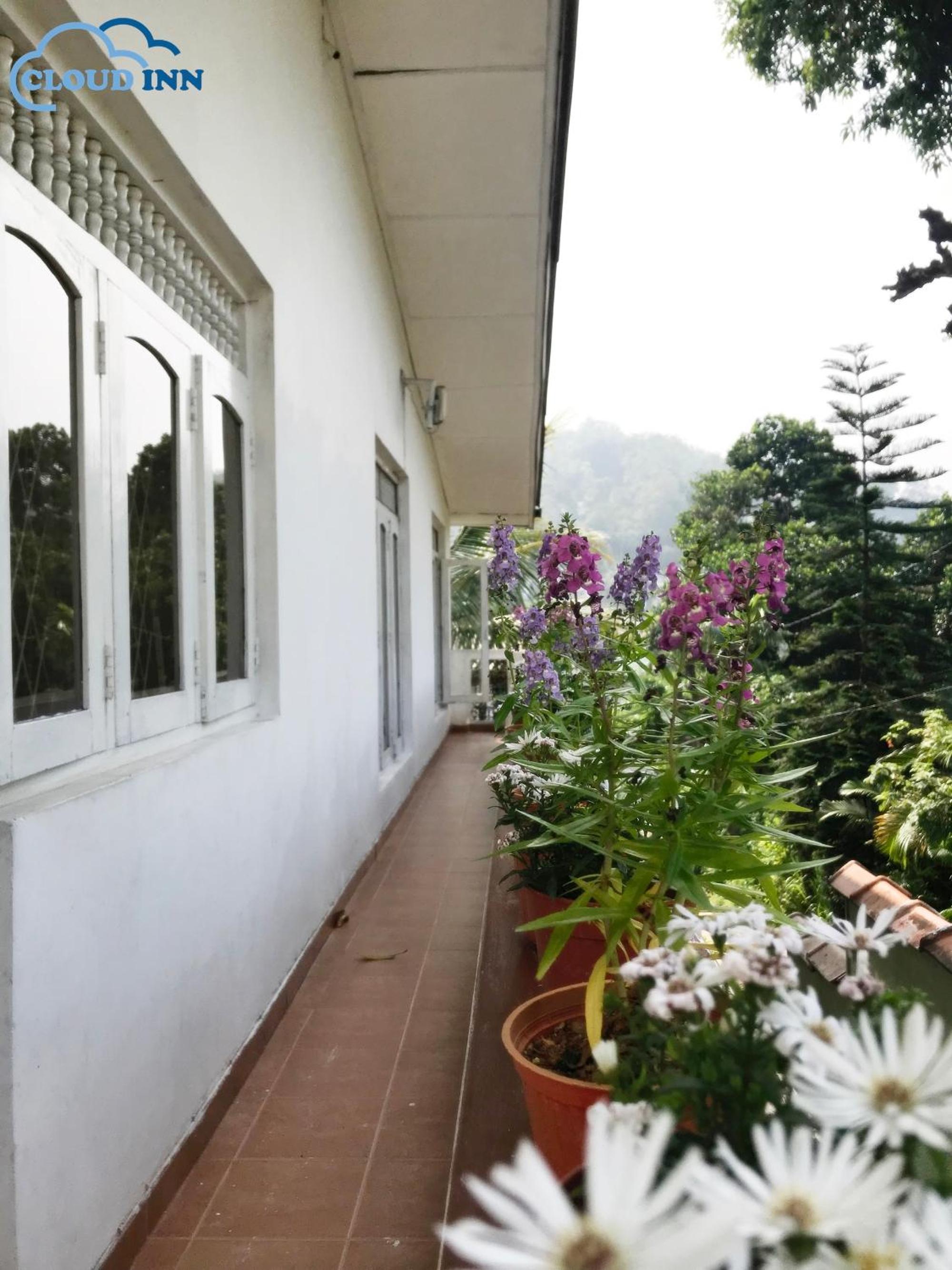 Triple Room with Terrace photo 3