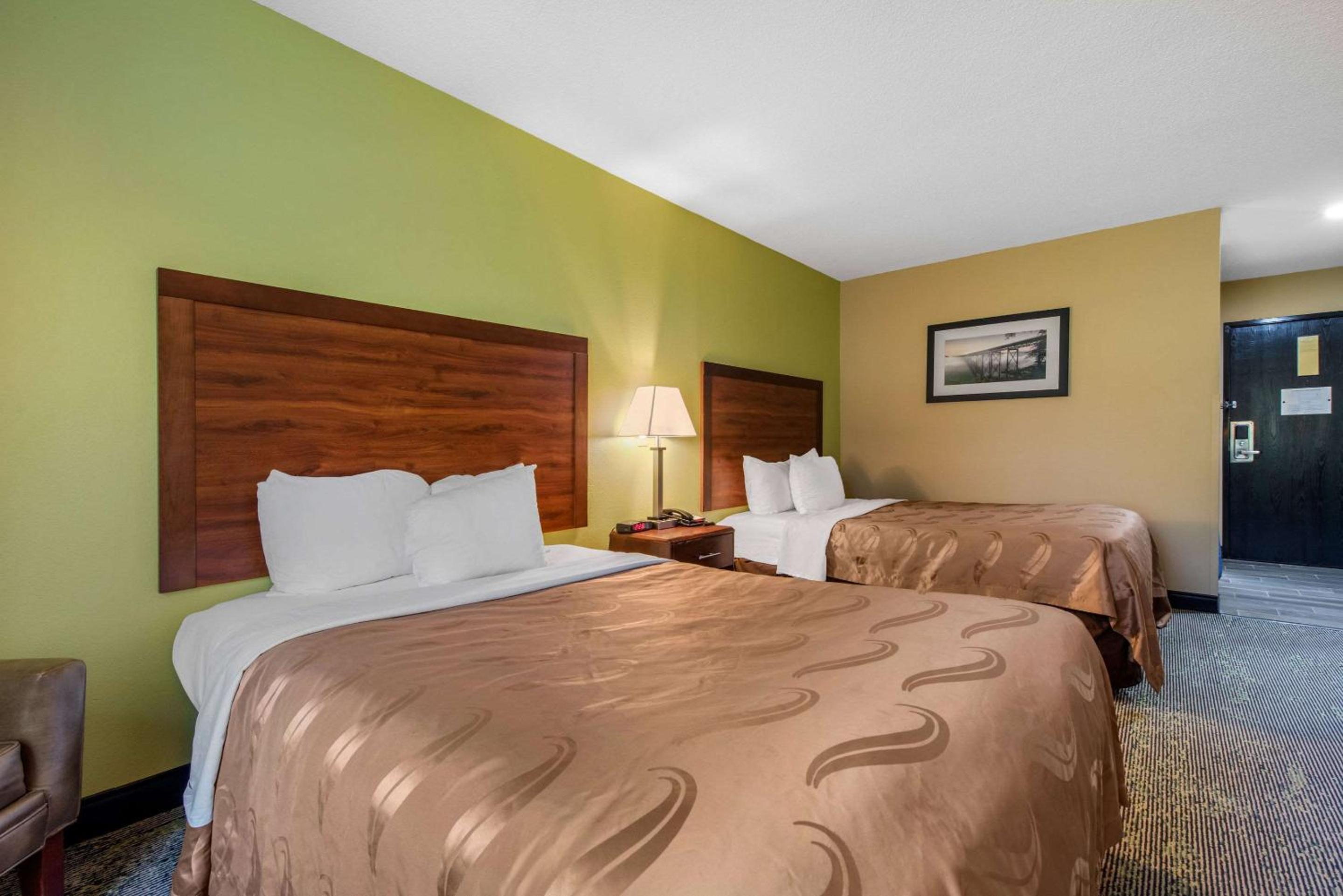 Standard, Two Double Beds, Pet, Non-Smoking photo 3