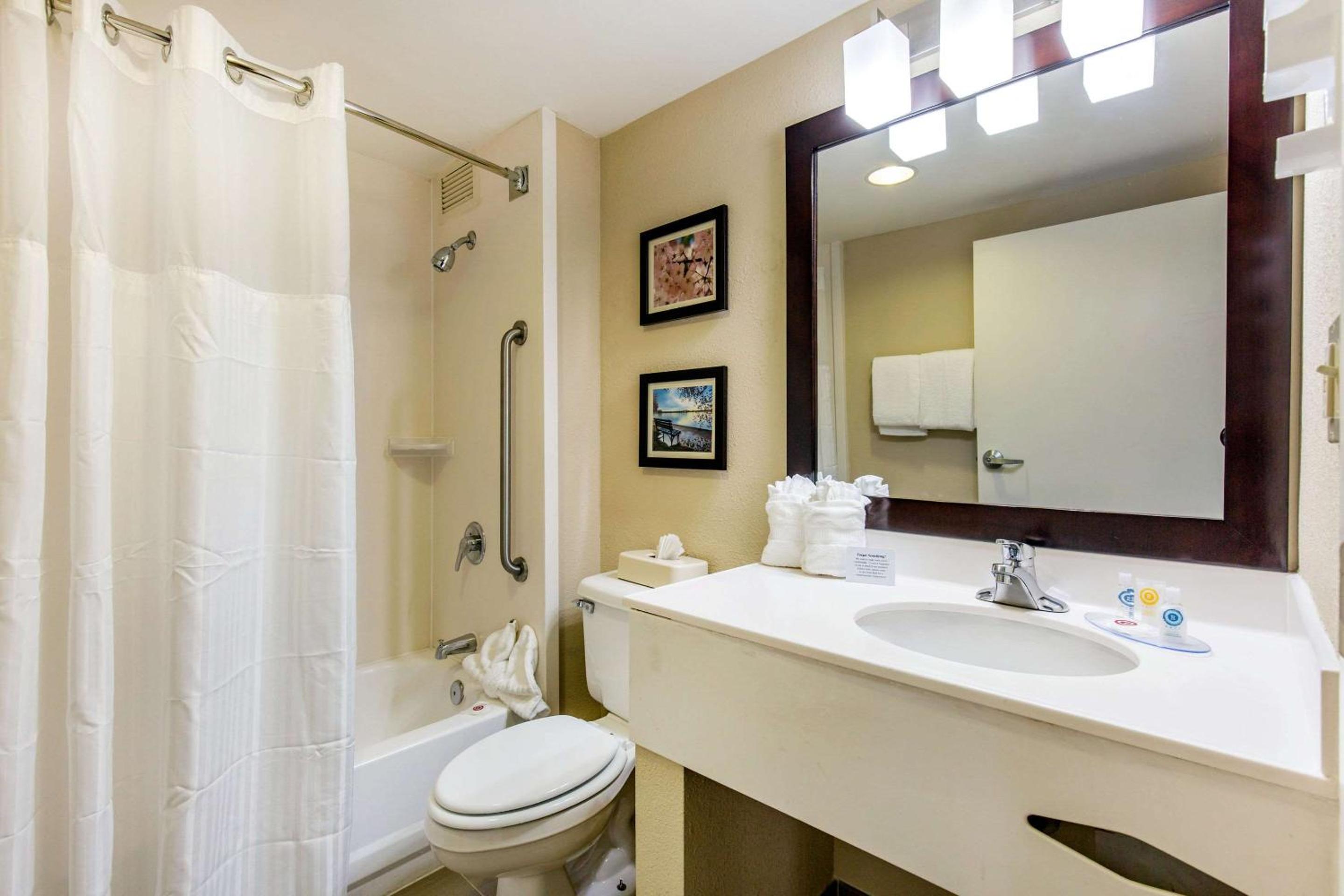 Queen Room with Accessible Tub - Accessible/Non-Smoking - Photo 3