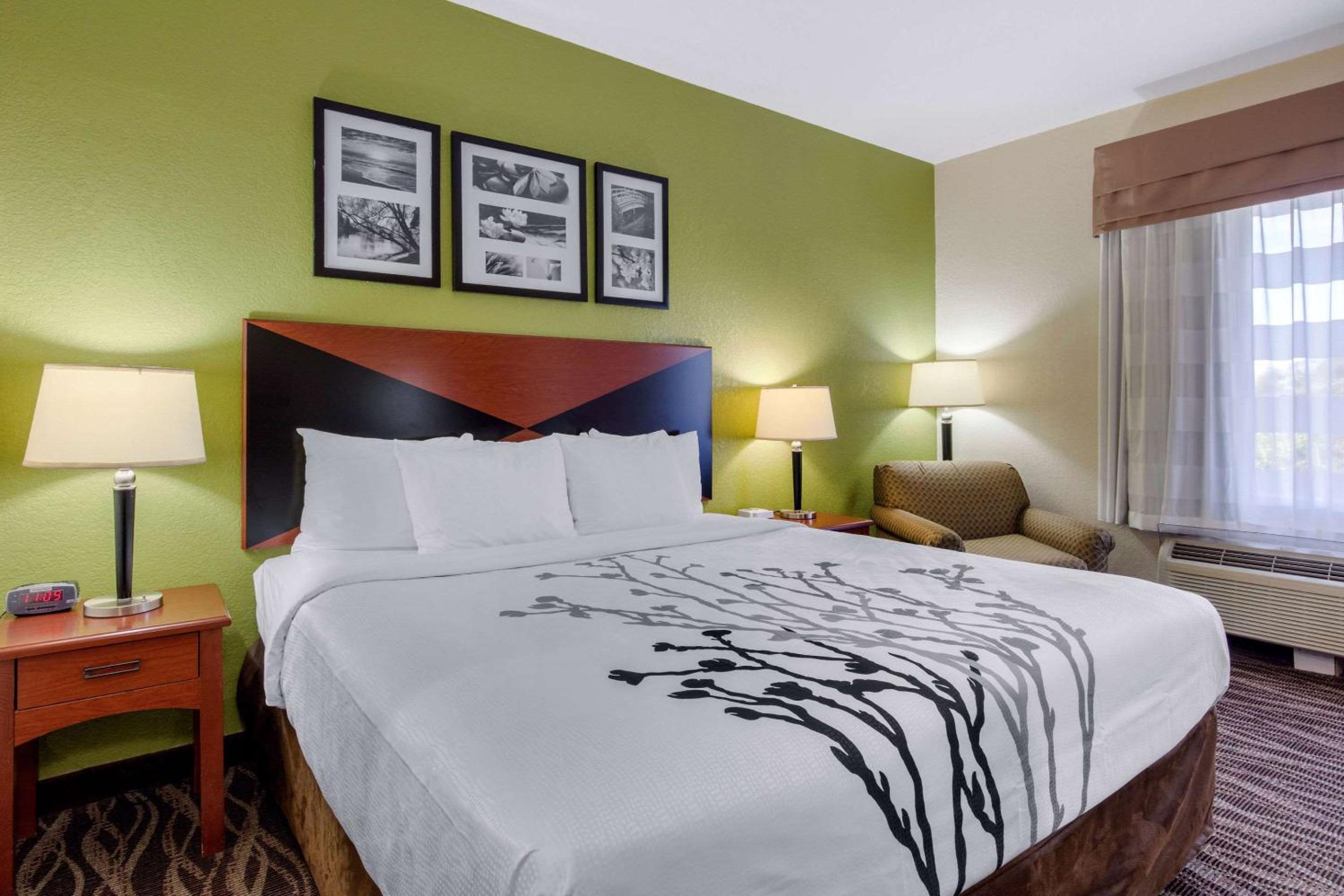 King Room - Non-Smoking - Photo 3