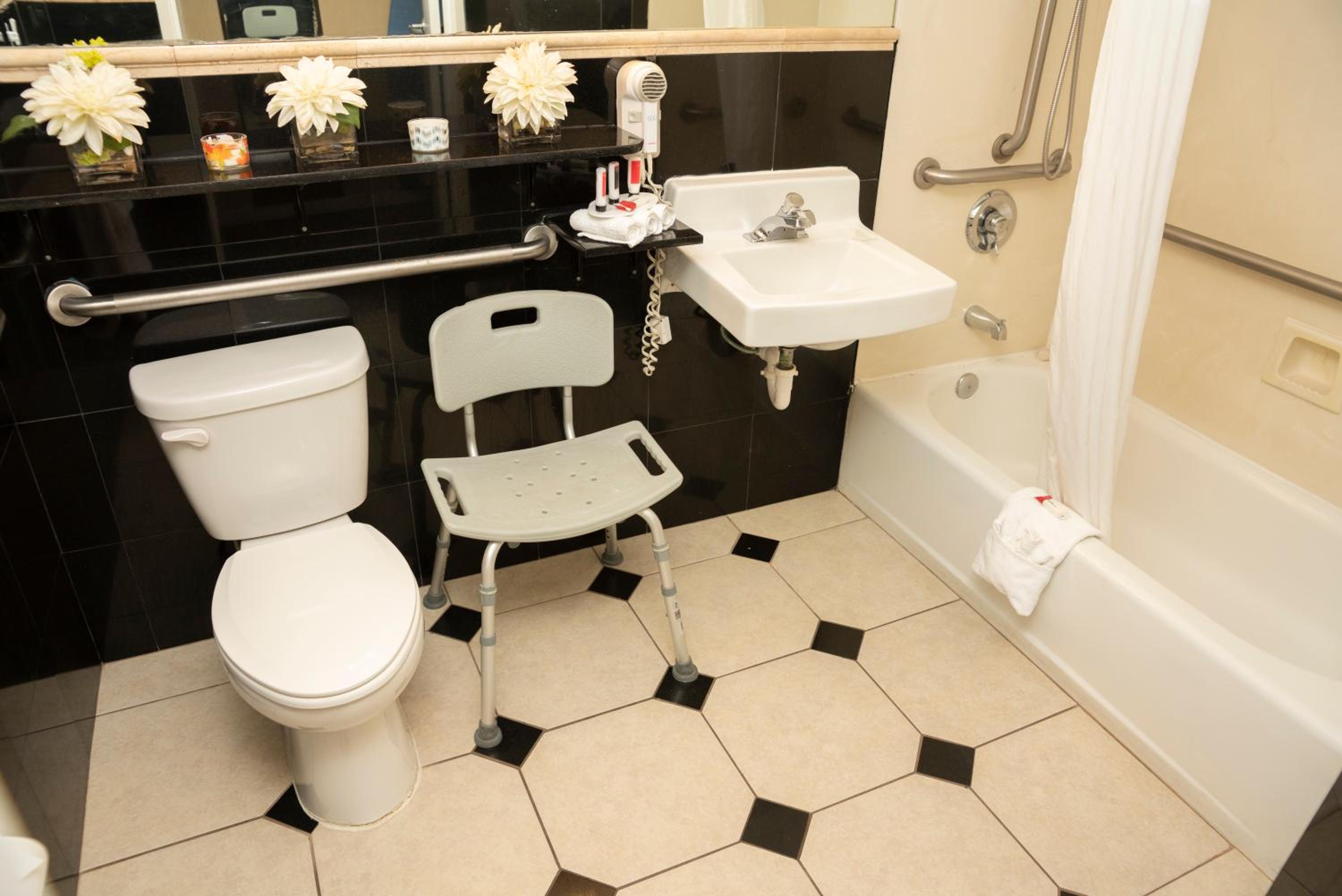 Queen Room with Bath Tub - Mobility Accessible/Non-Smoking - Photo 5