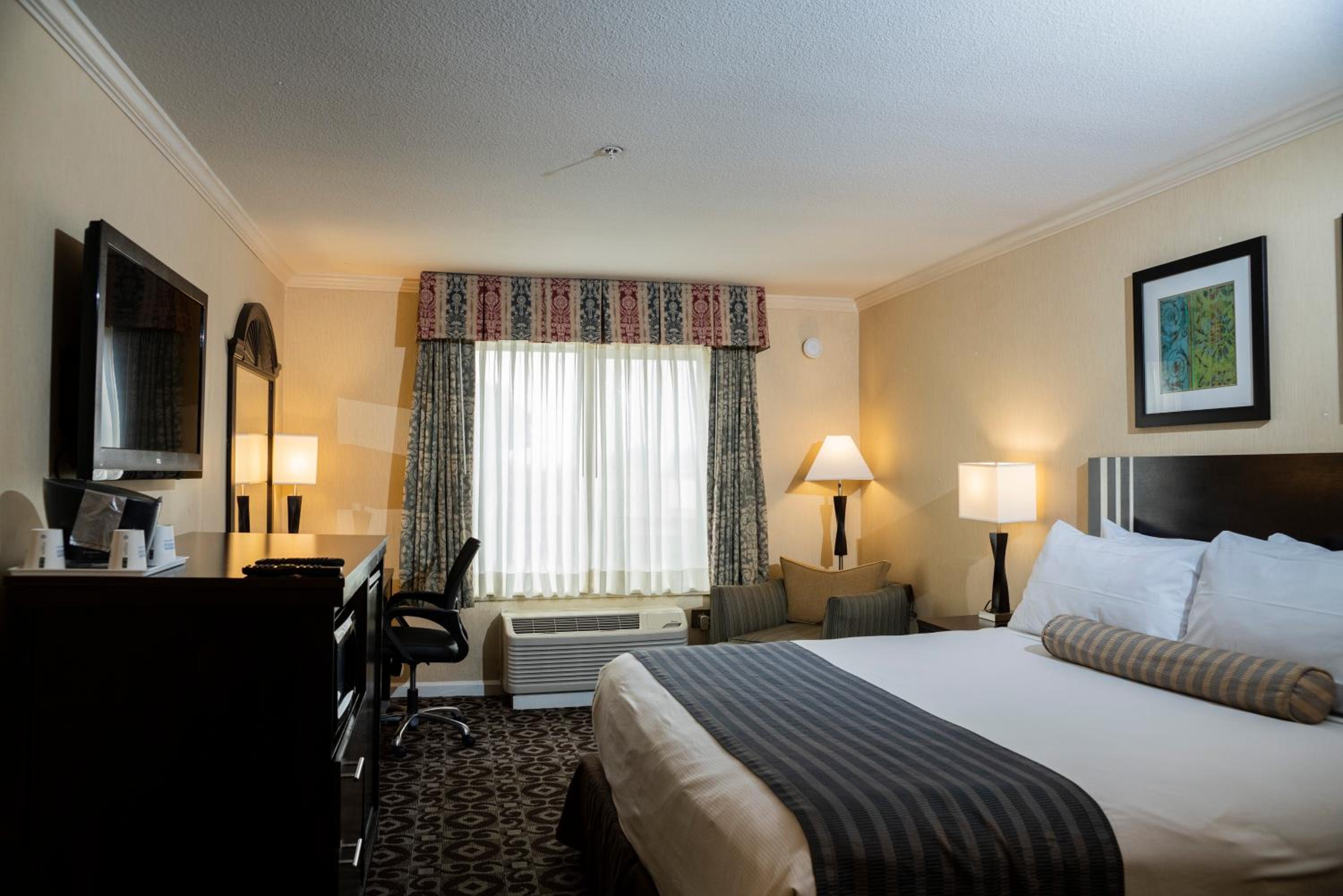 King Room - Non-Smoking - Photo 6