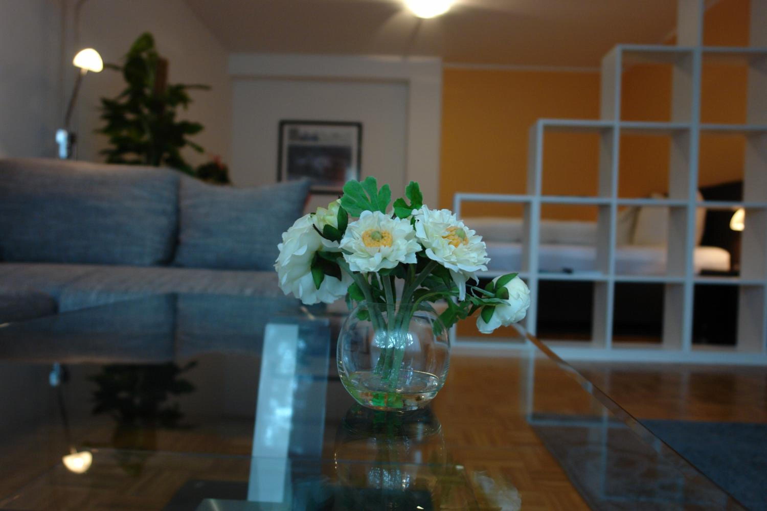Apartment photo 1