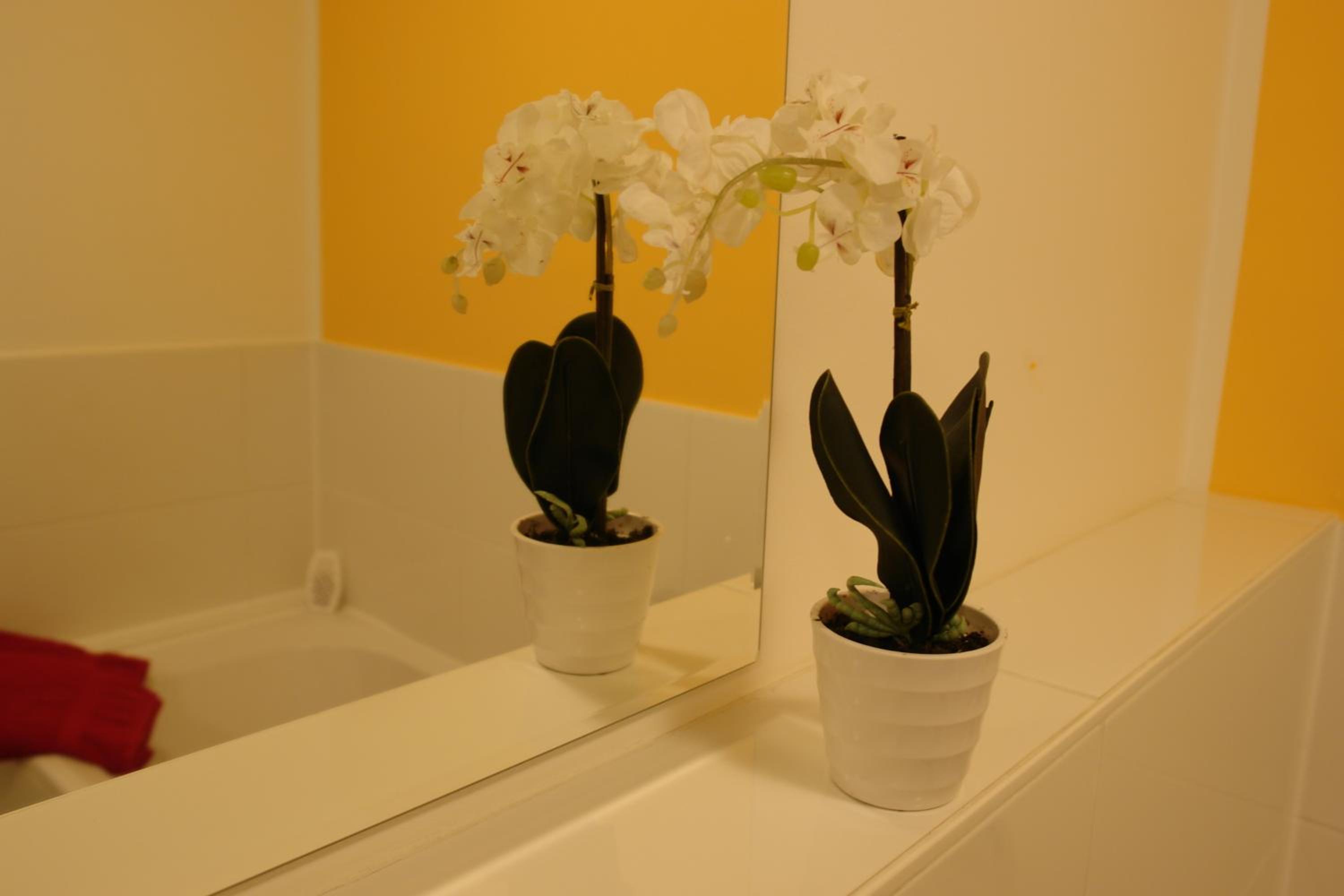 Apartment photo 2