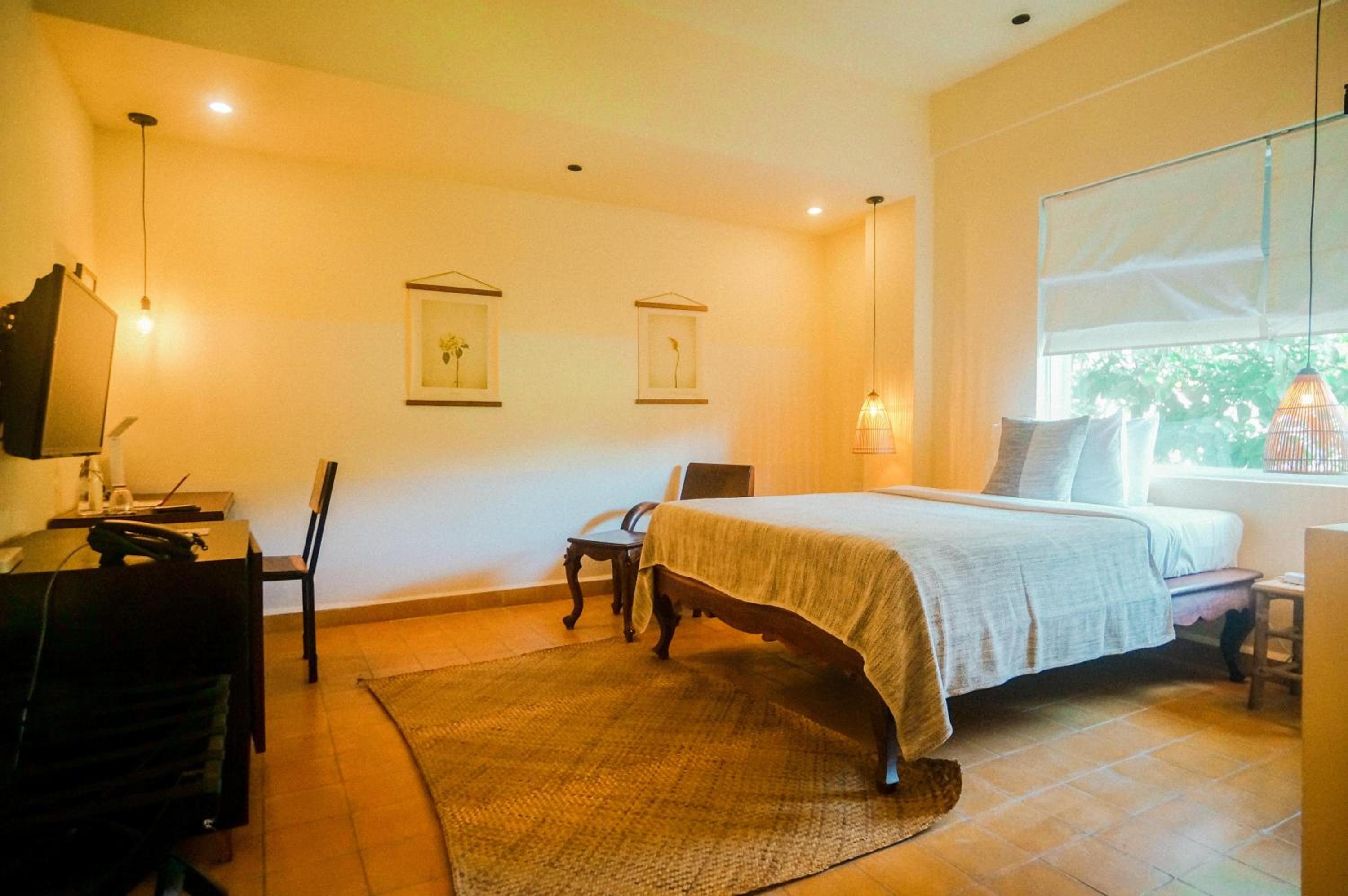 Comfort Single Room - Photo 1