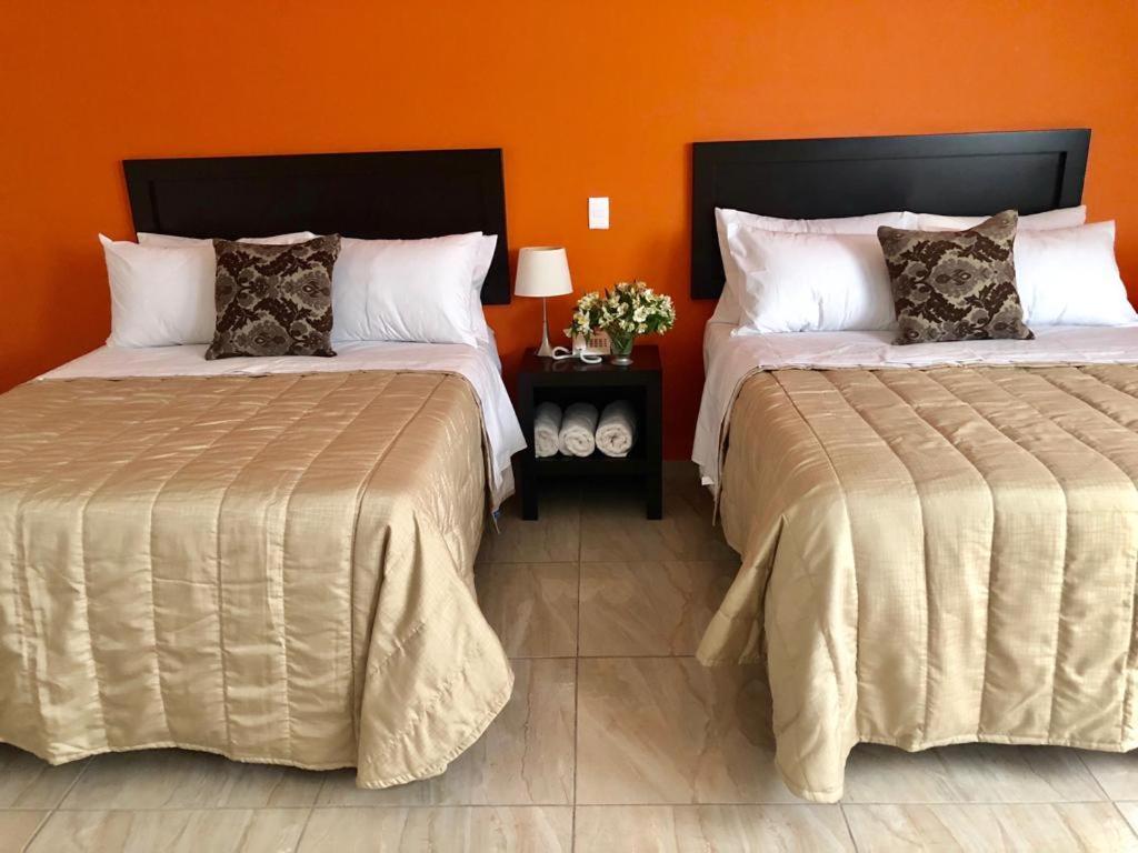 Double Room with Two Double Beds