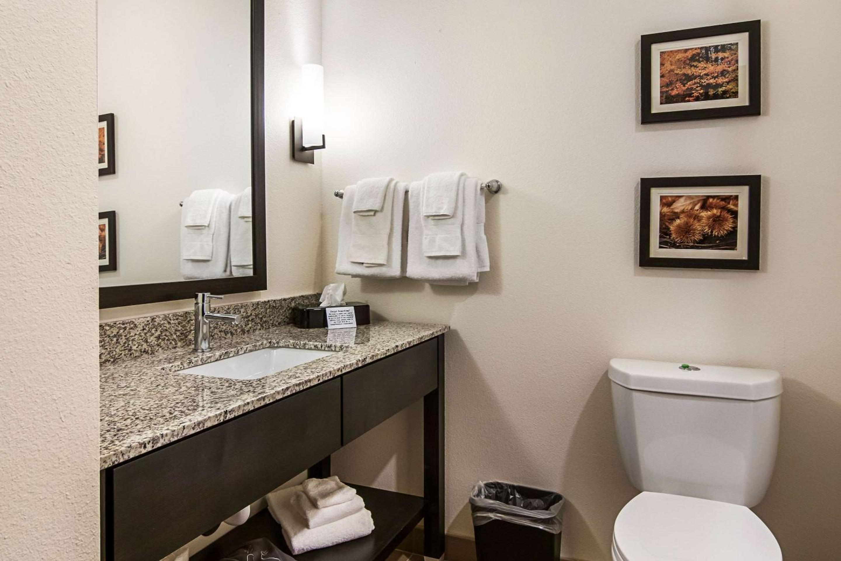 King Suite - Non-Smoking - Photo 4