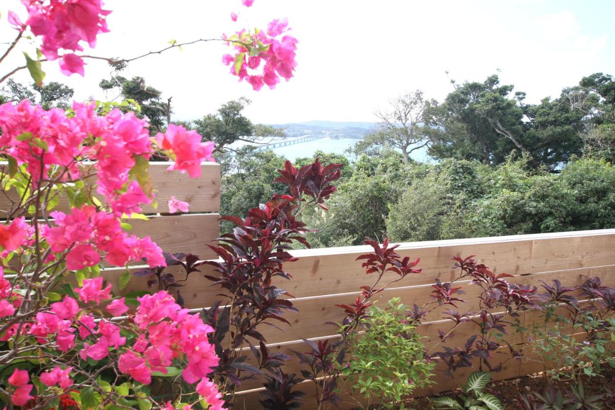Standard Villa photo 1