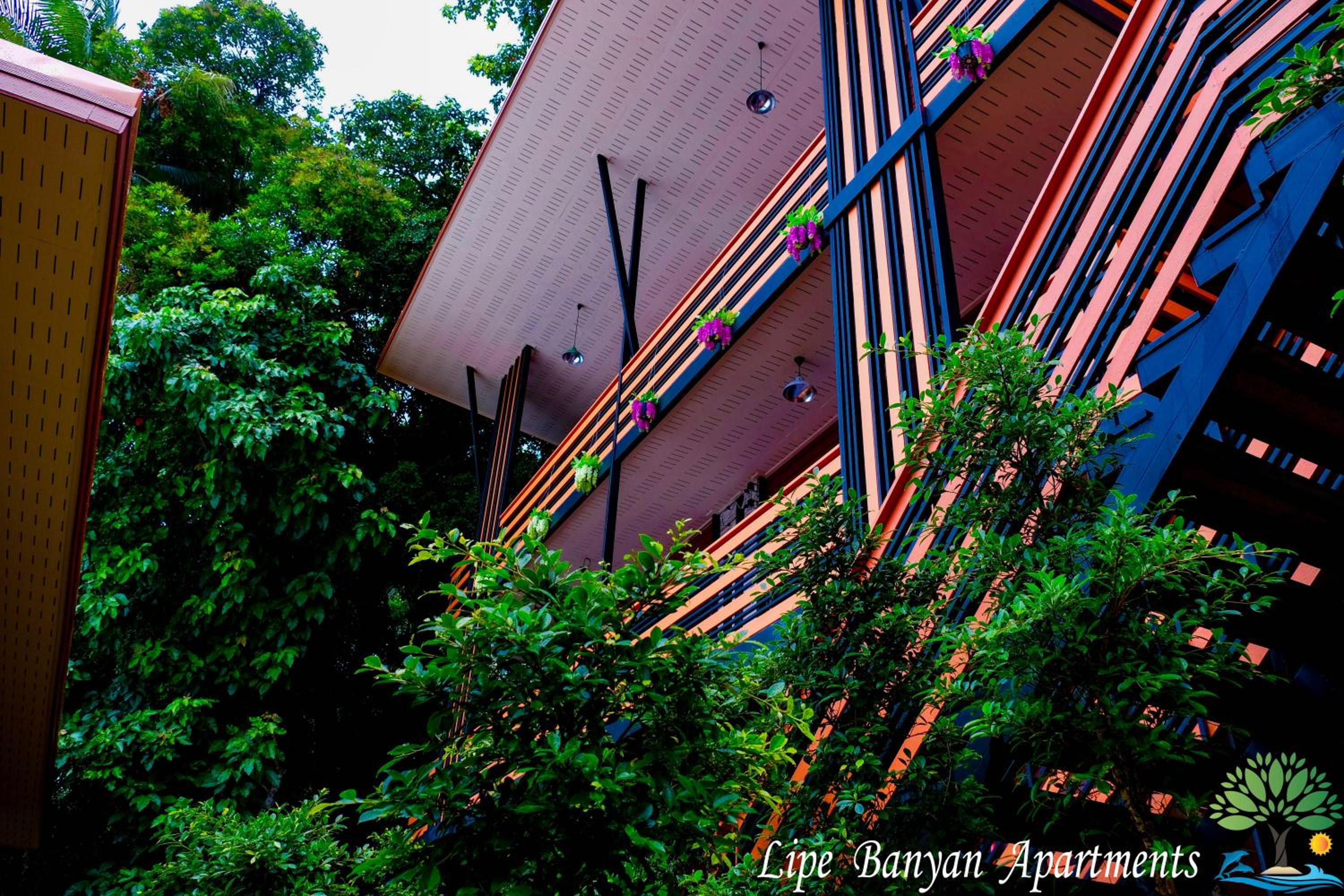 Studio with Garden View - Photo 10
