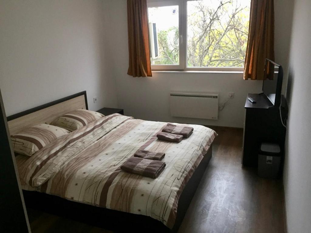 Double Room photo 3