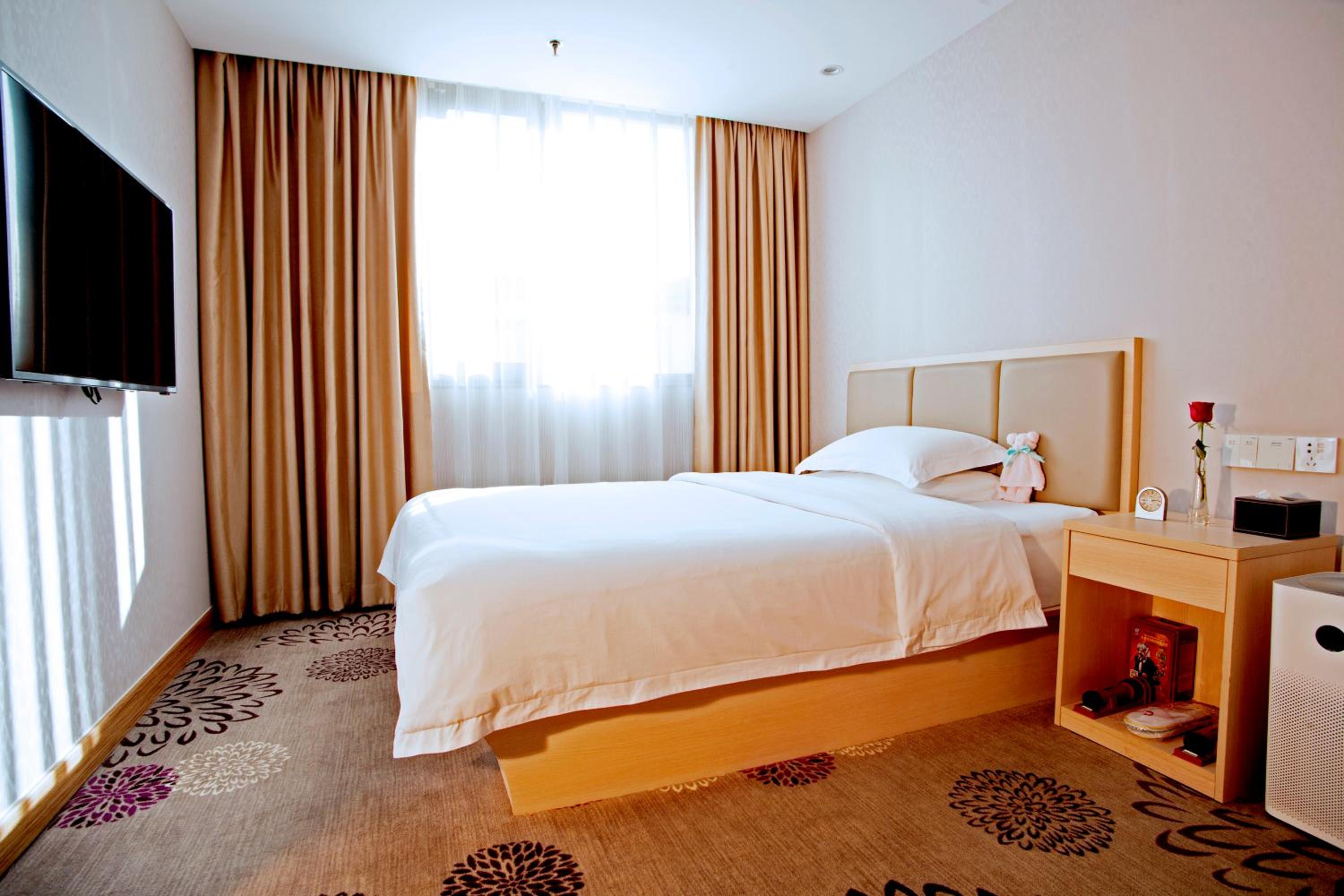 Single Room - Photo 1