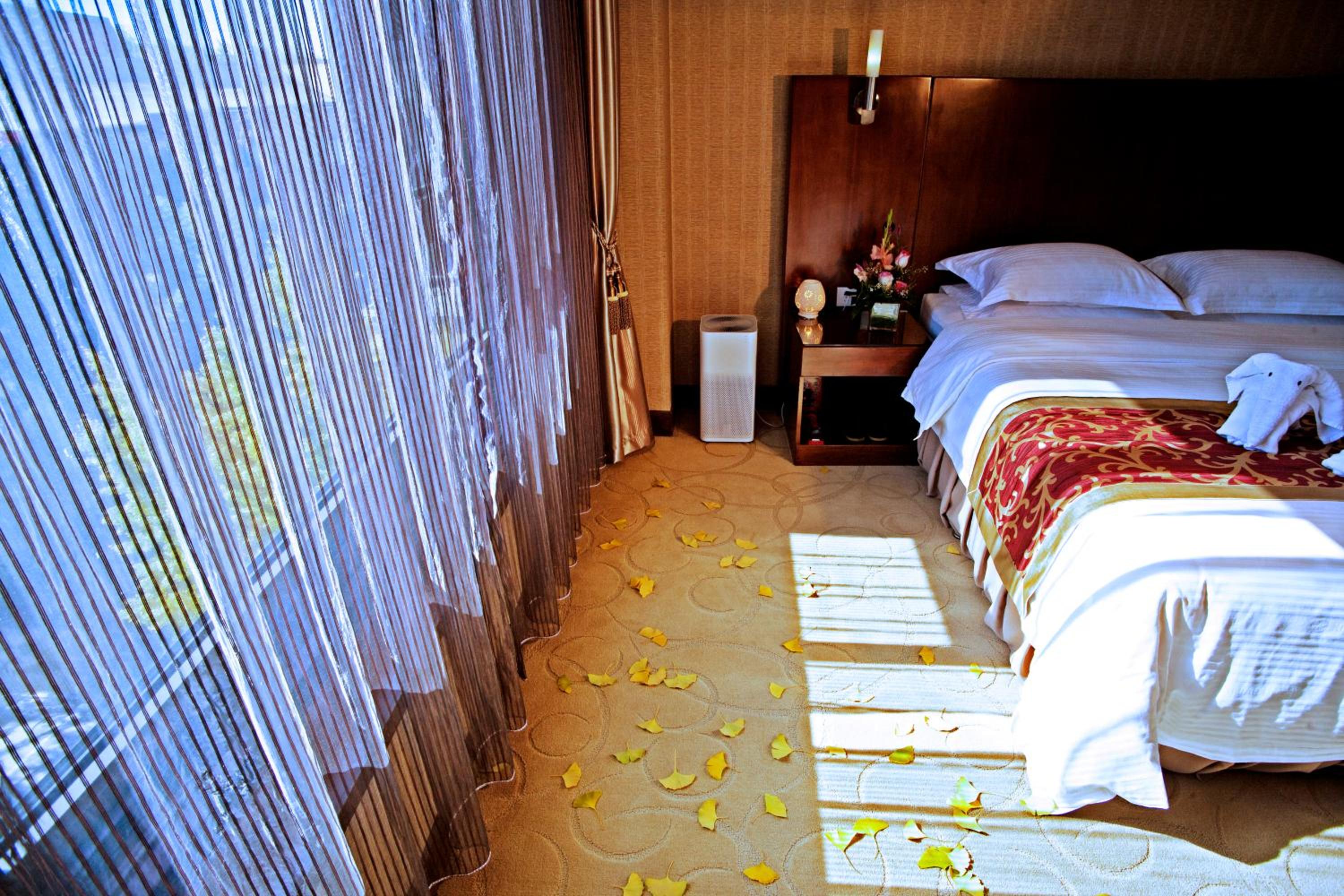 Executive Suite - Photo 1