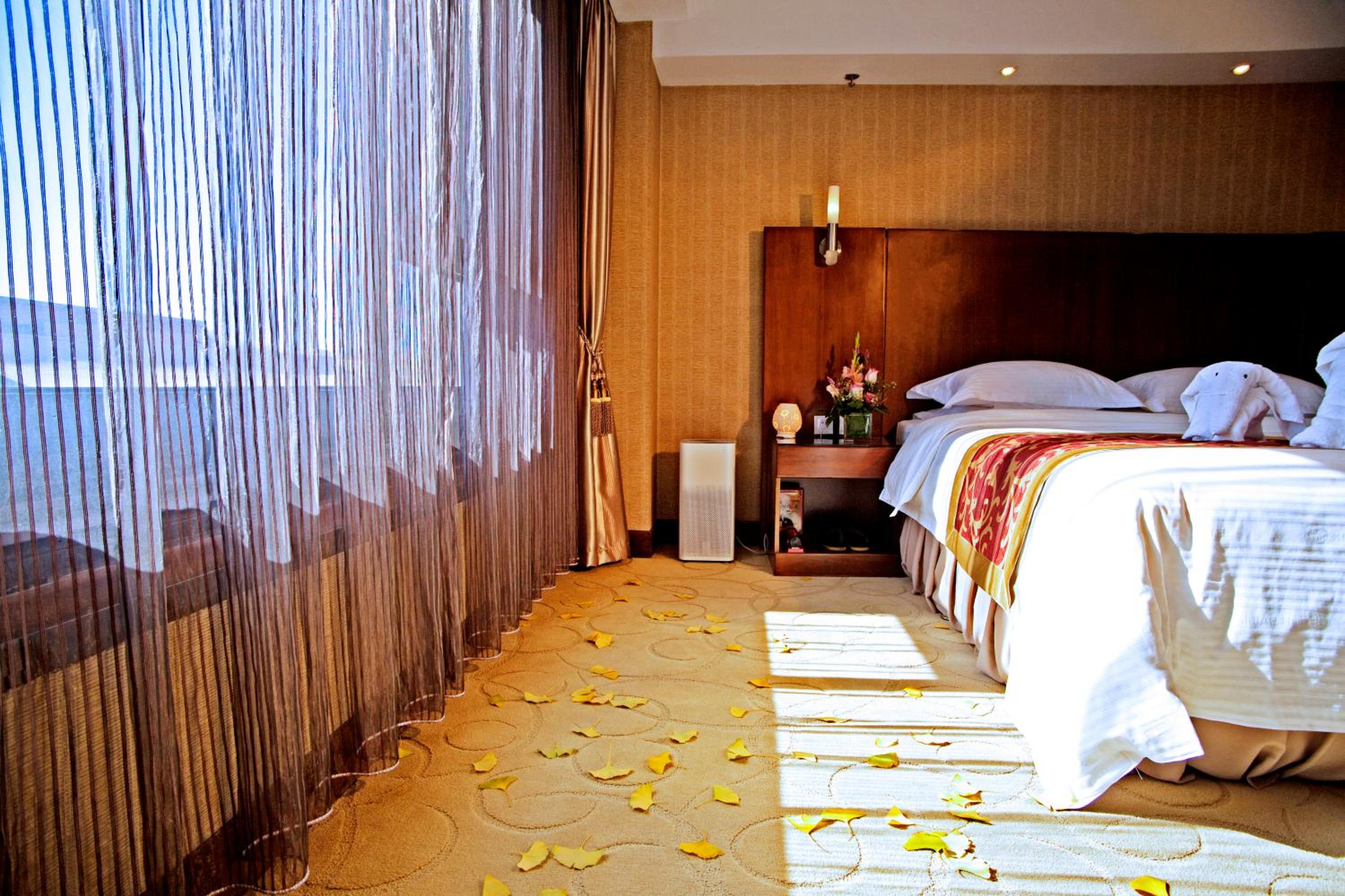 Executive Suite - Photo 2
