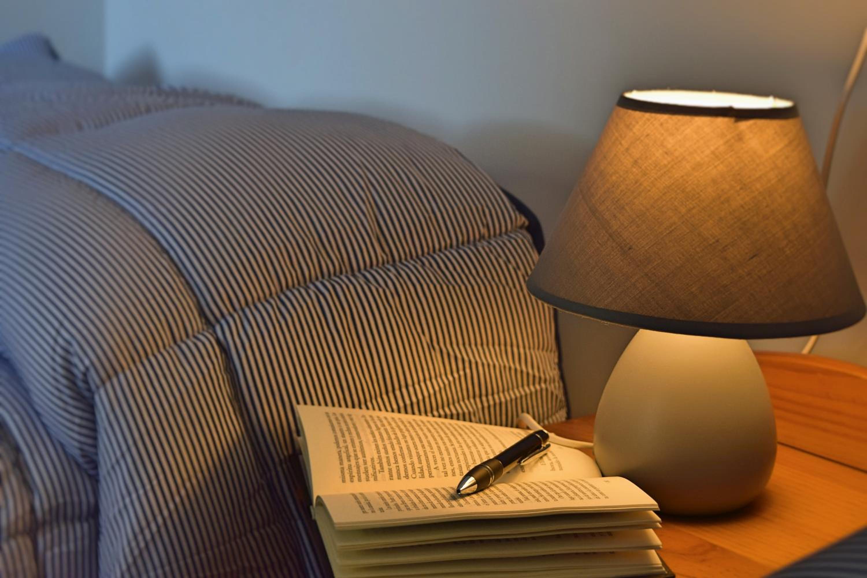 Studio With Sofa Bed photo 2
