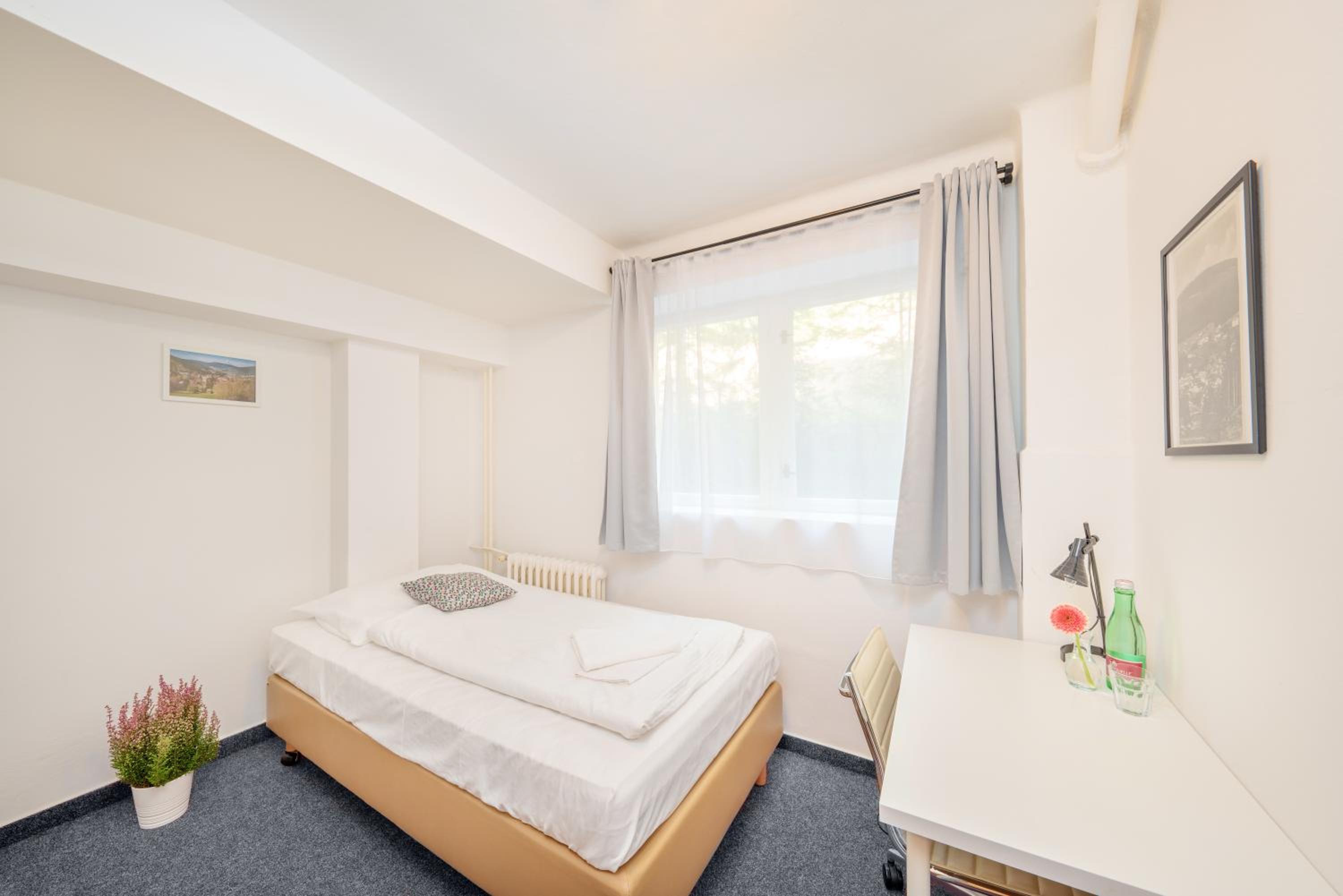 Single Room photo 2