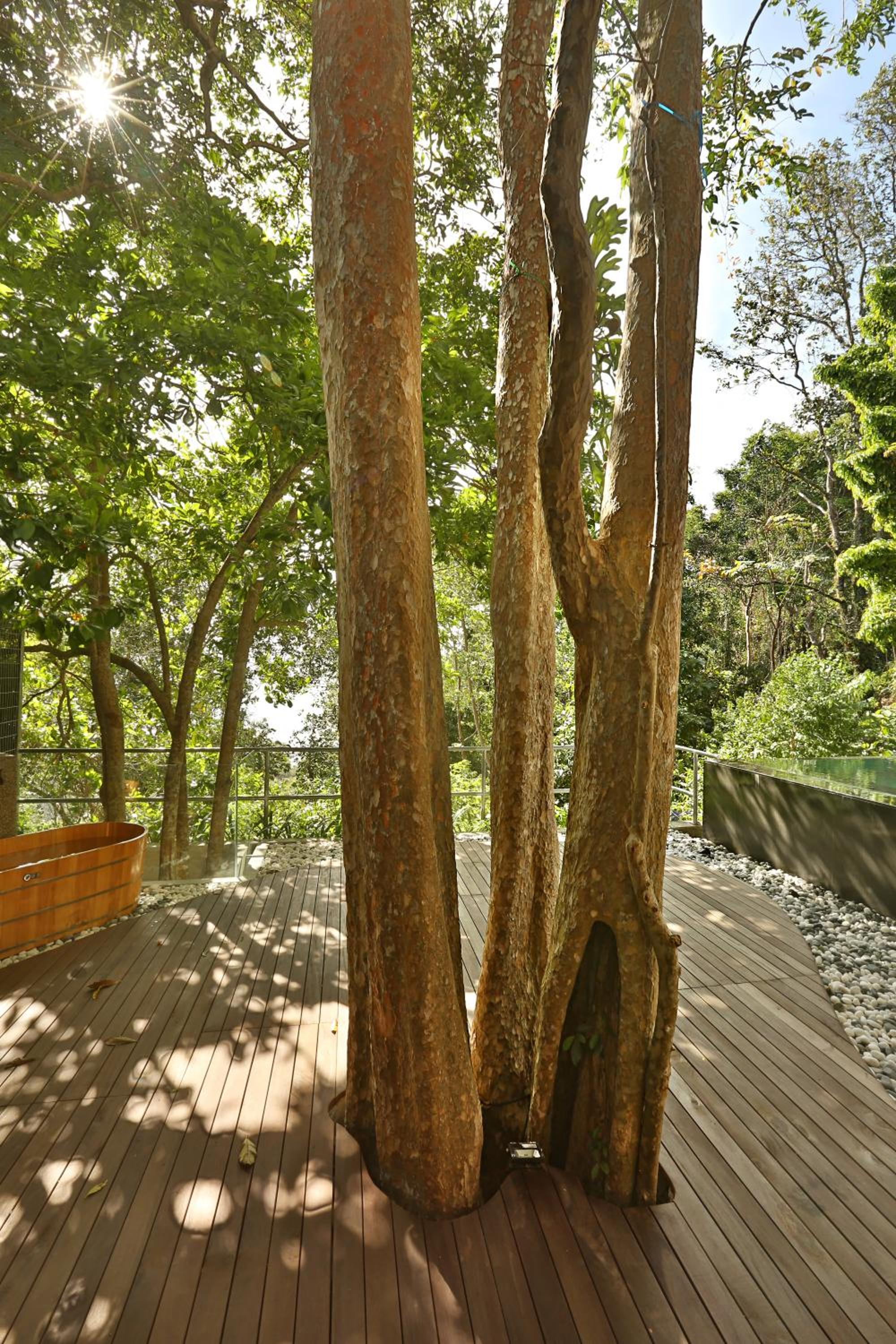 Villa Malut - Photo 9