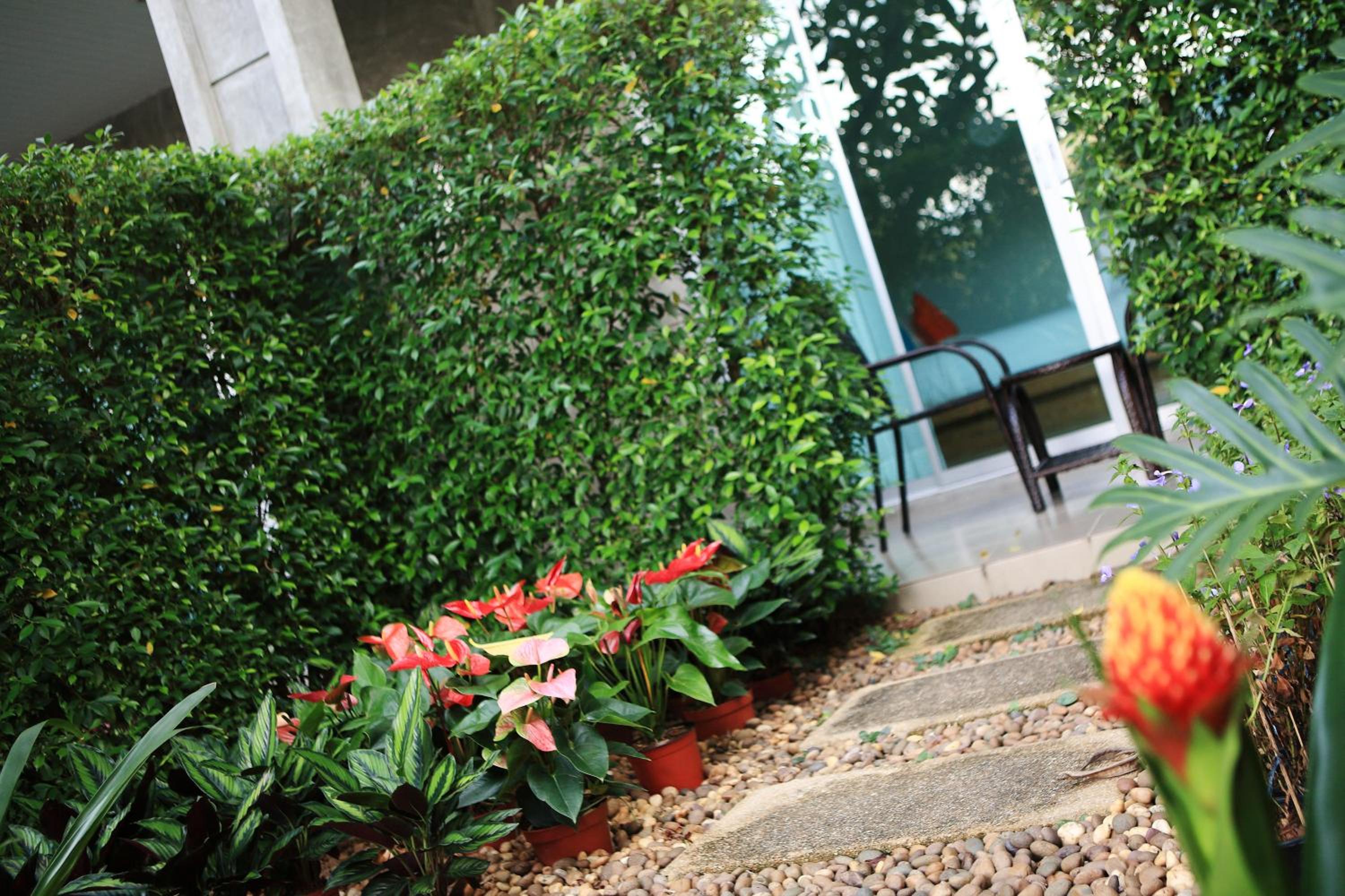 Room with Garden View - Photo 16