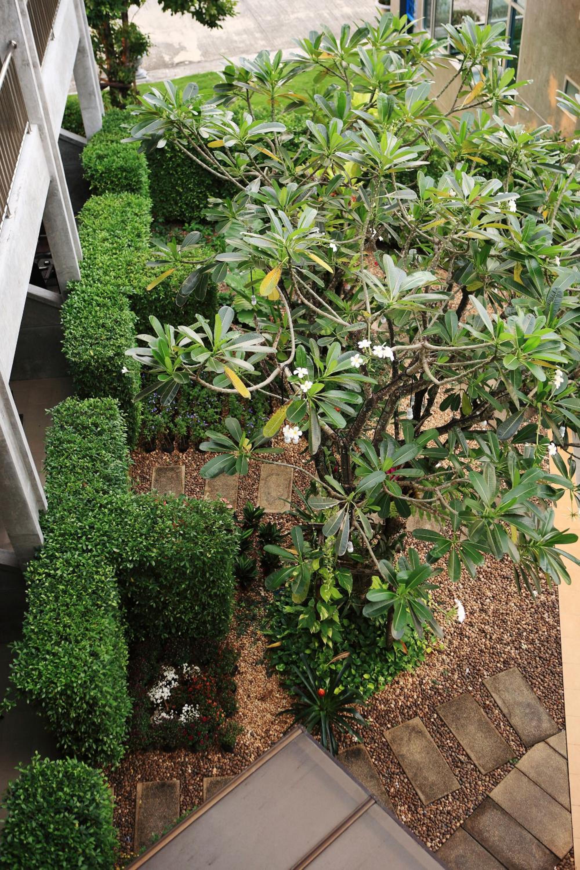 Room with Garden View - Photo 22