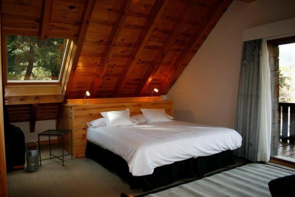 Suite - Photo 4