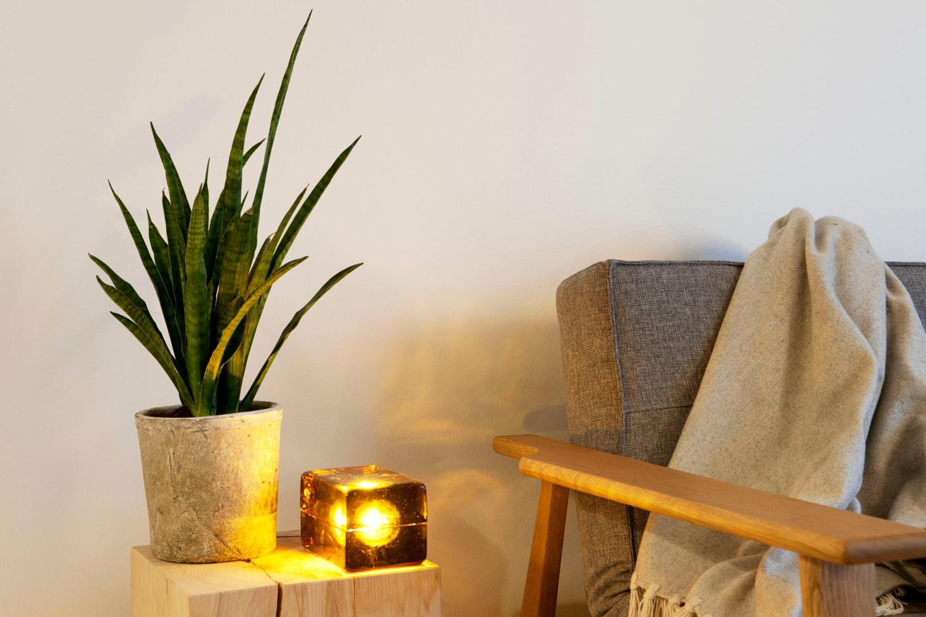 Apartment - Photo 6