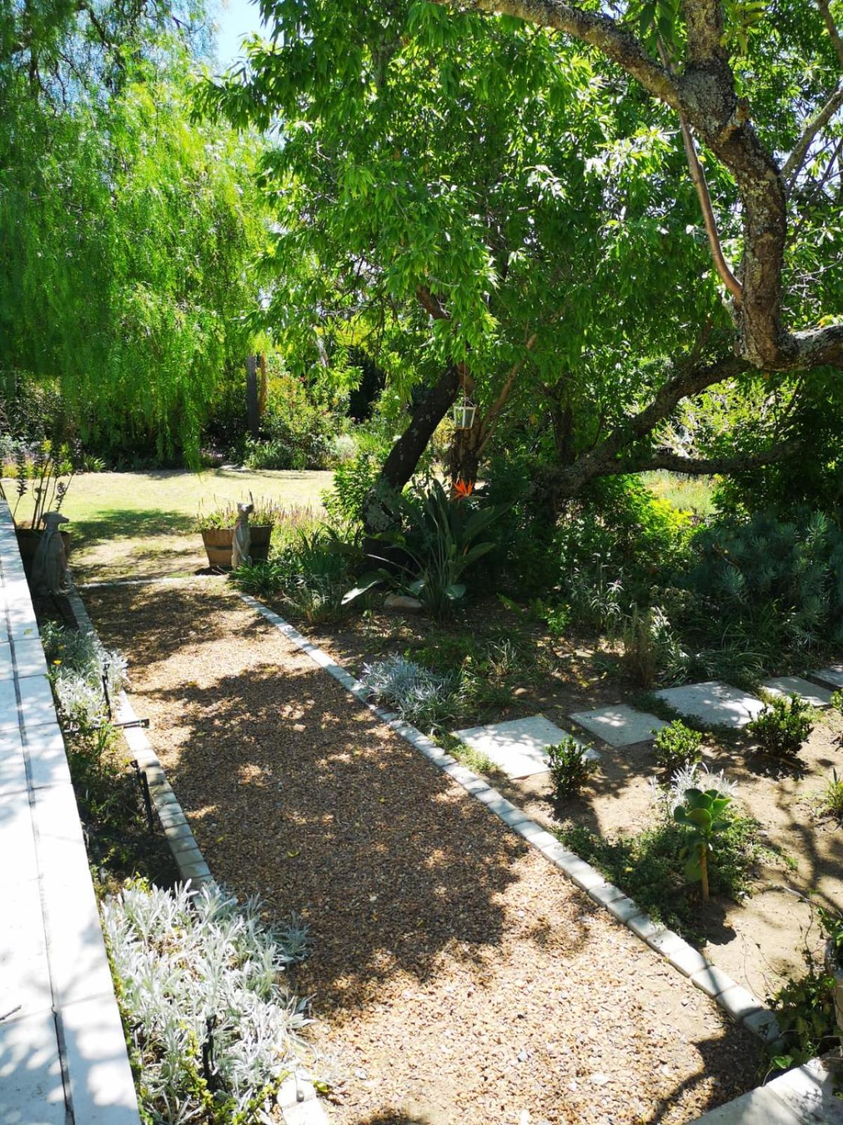 King Room with Garden View photo 2