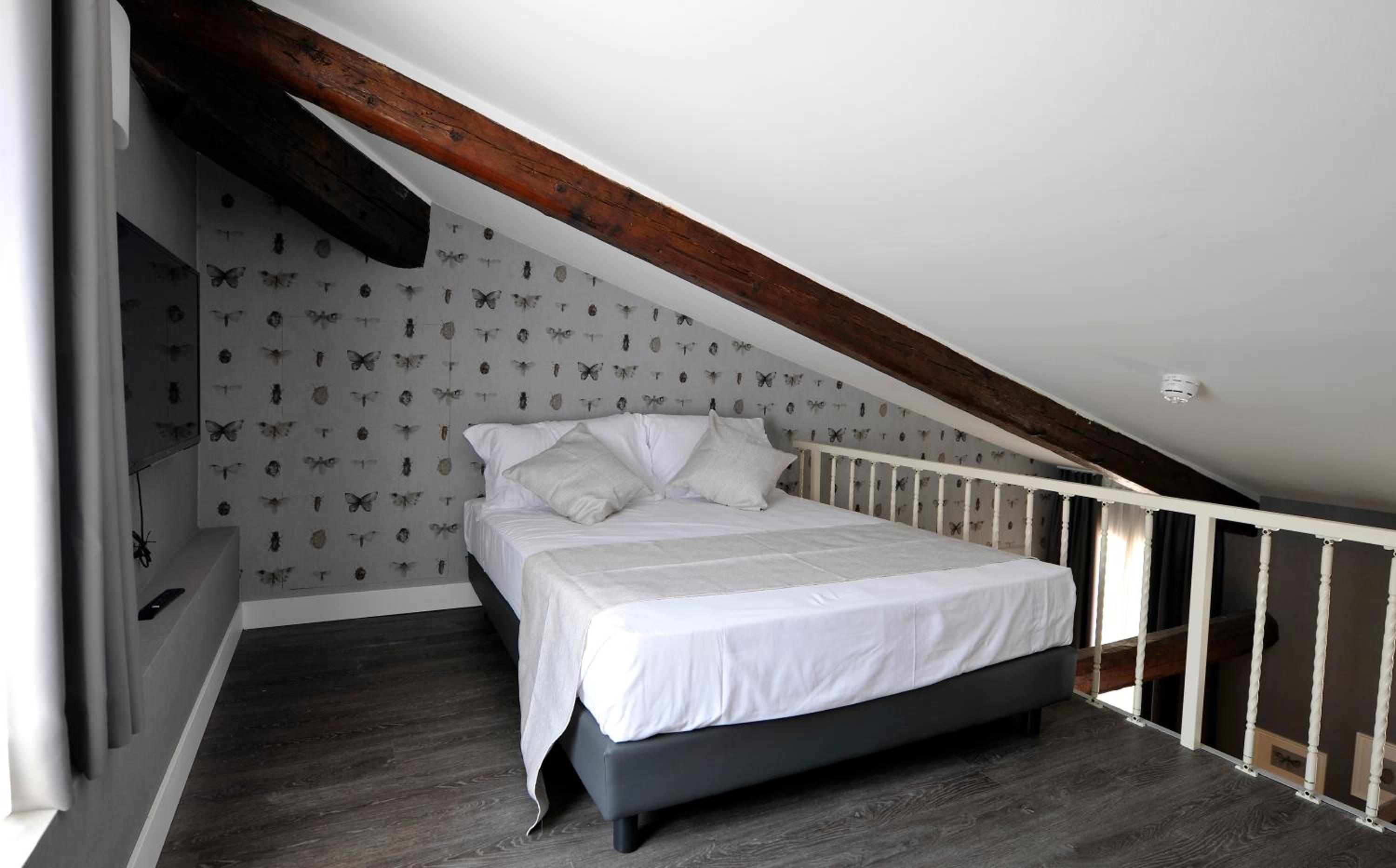 Loft - Split Level (2 Adults) - Photo 6