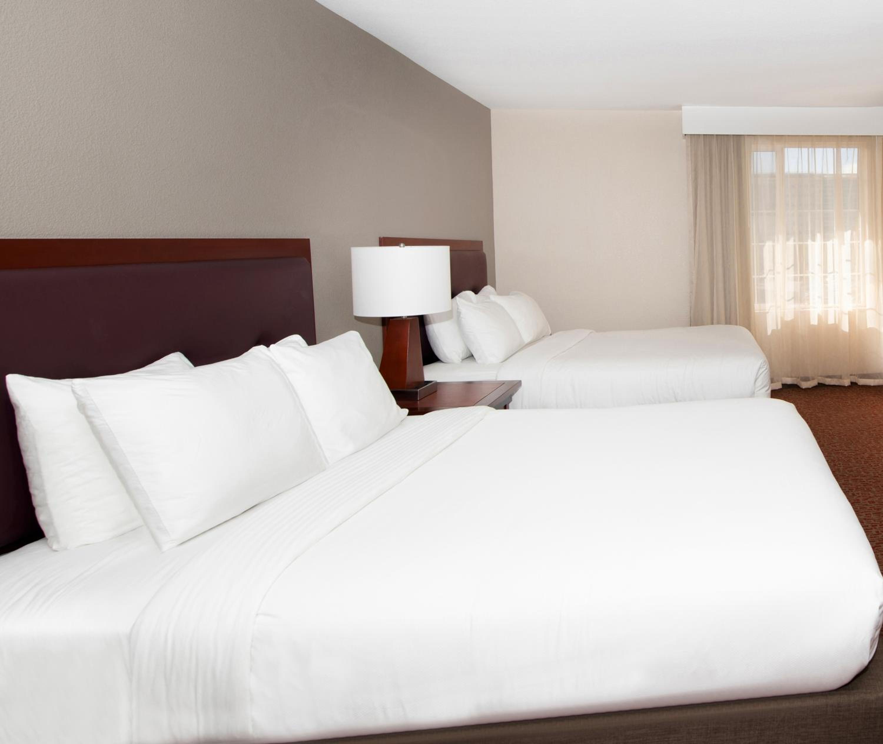 Grand Suite - Photo 5