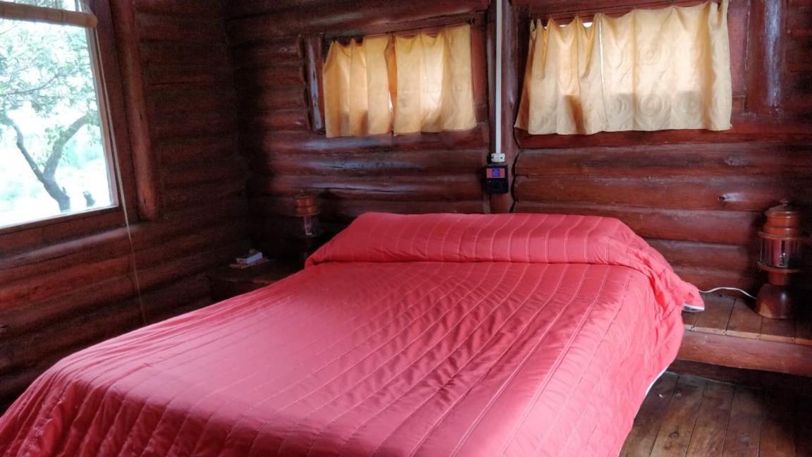 Chalet photo 1