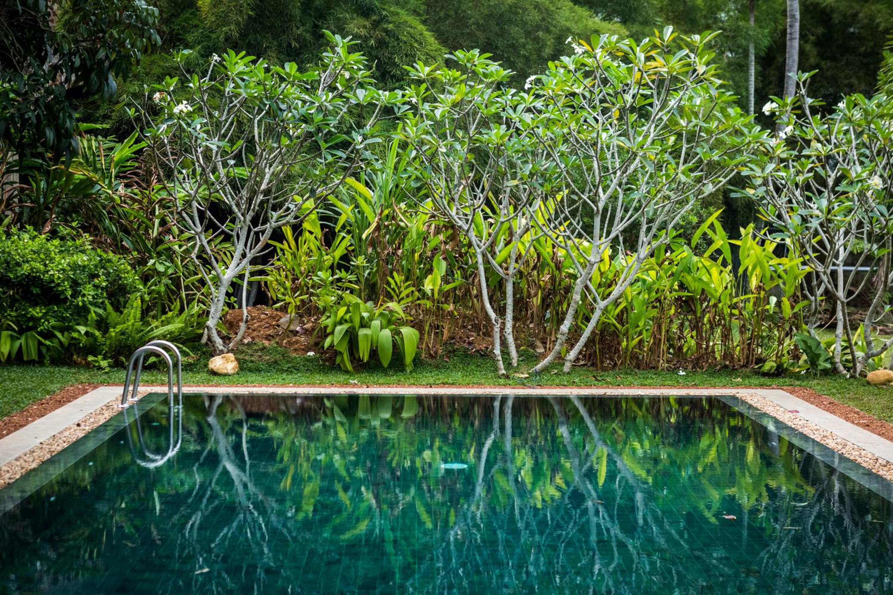 Superior Villa photo 3