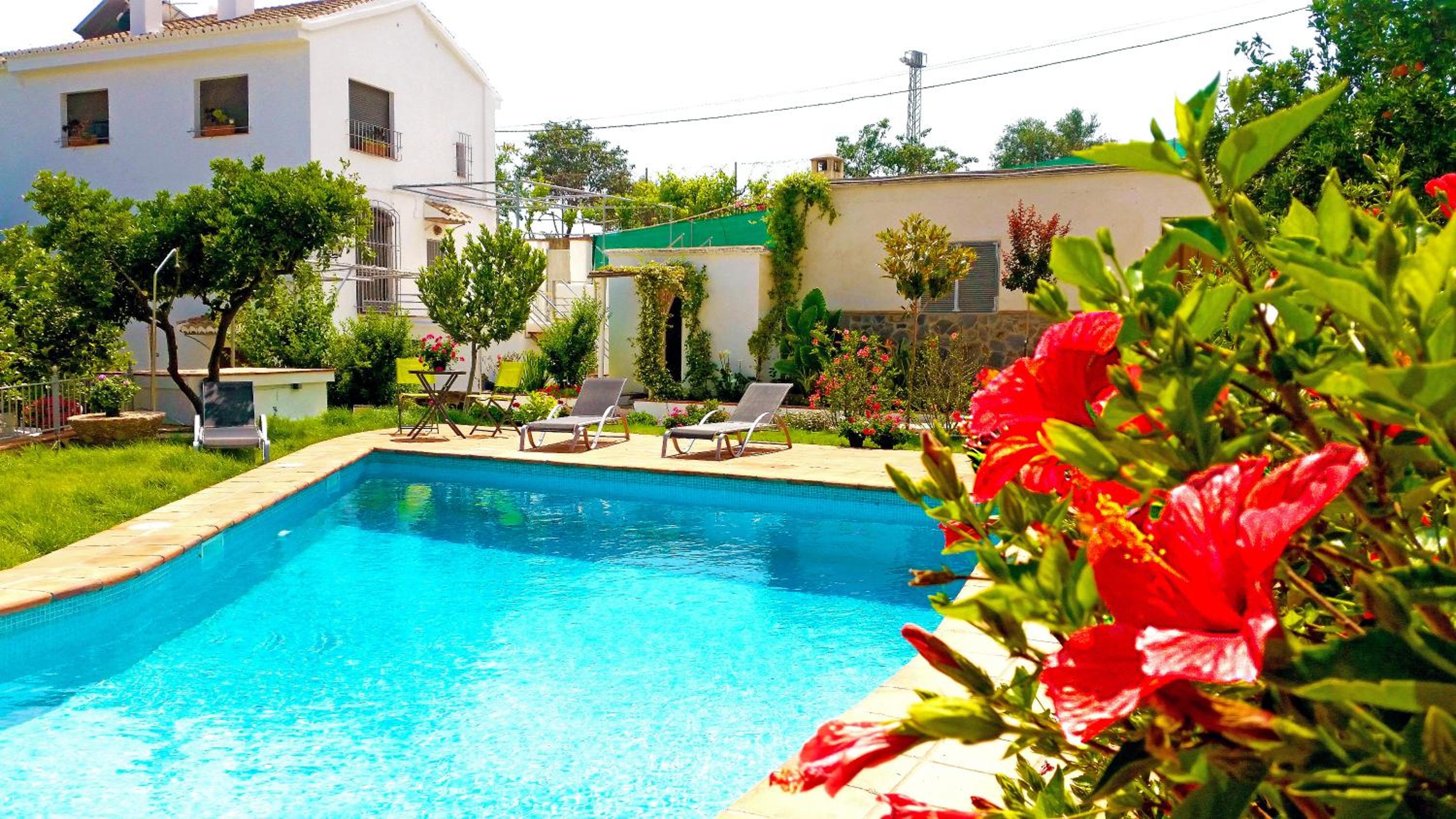 Superior Villa photo 2