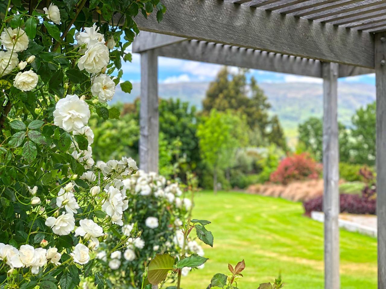 King Studio with Mountain and Garden Views - Photo 13