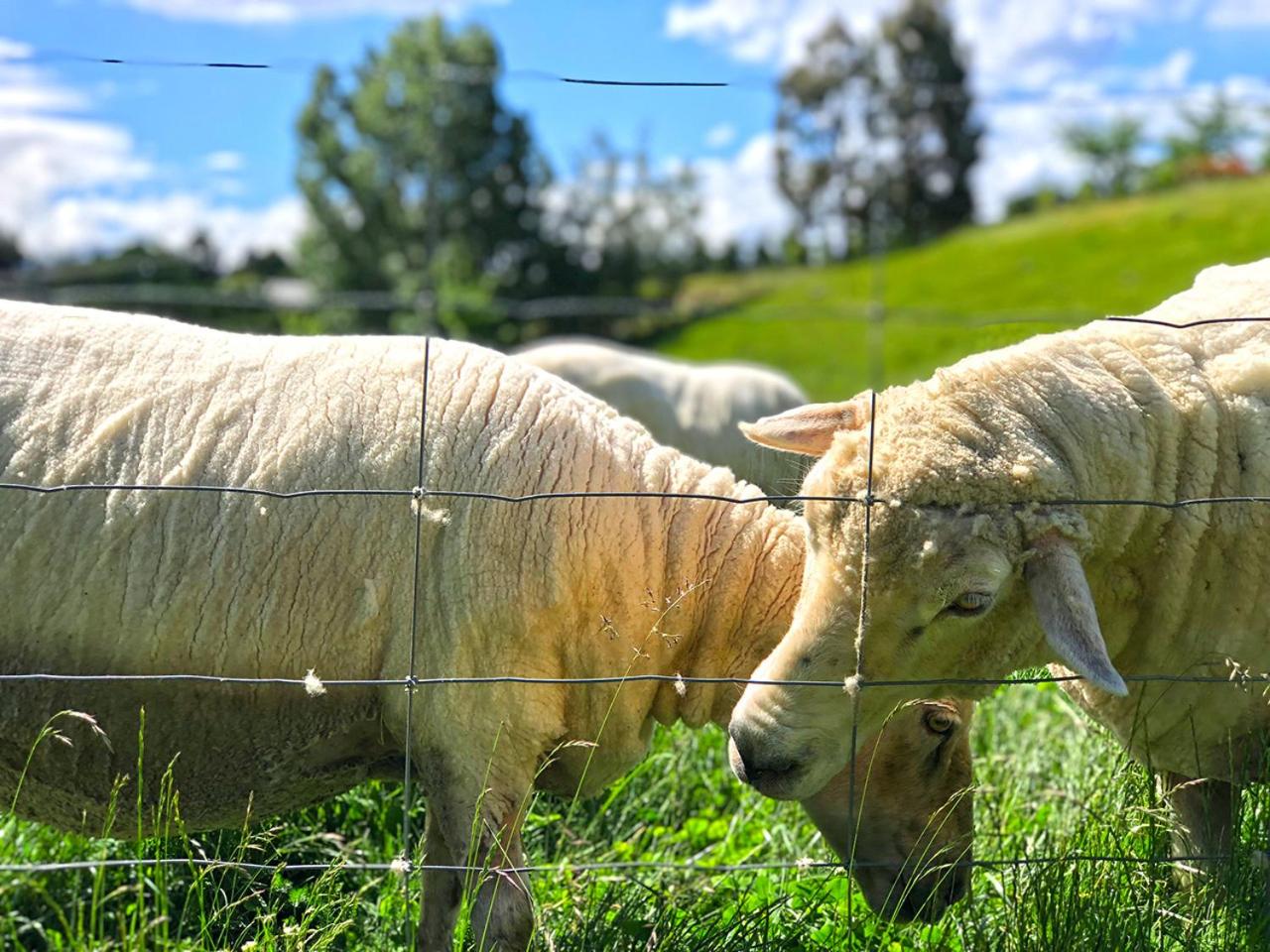 Studio - Split Level - Photo 13