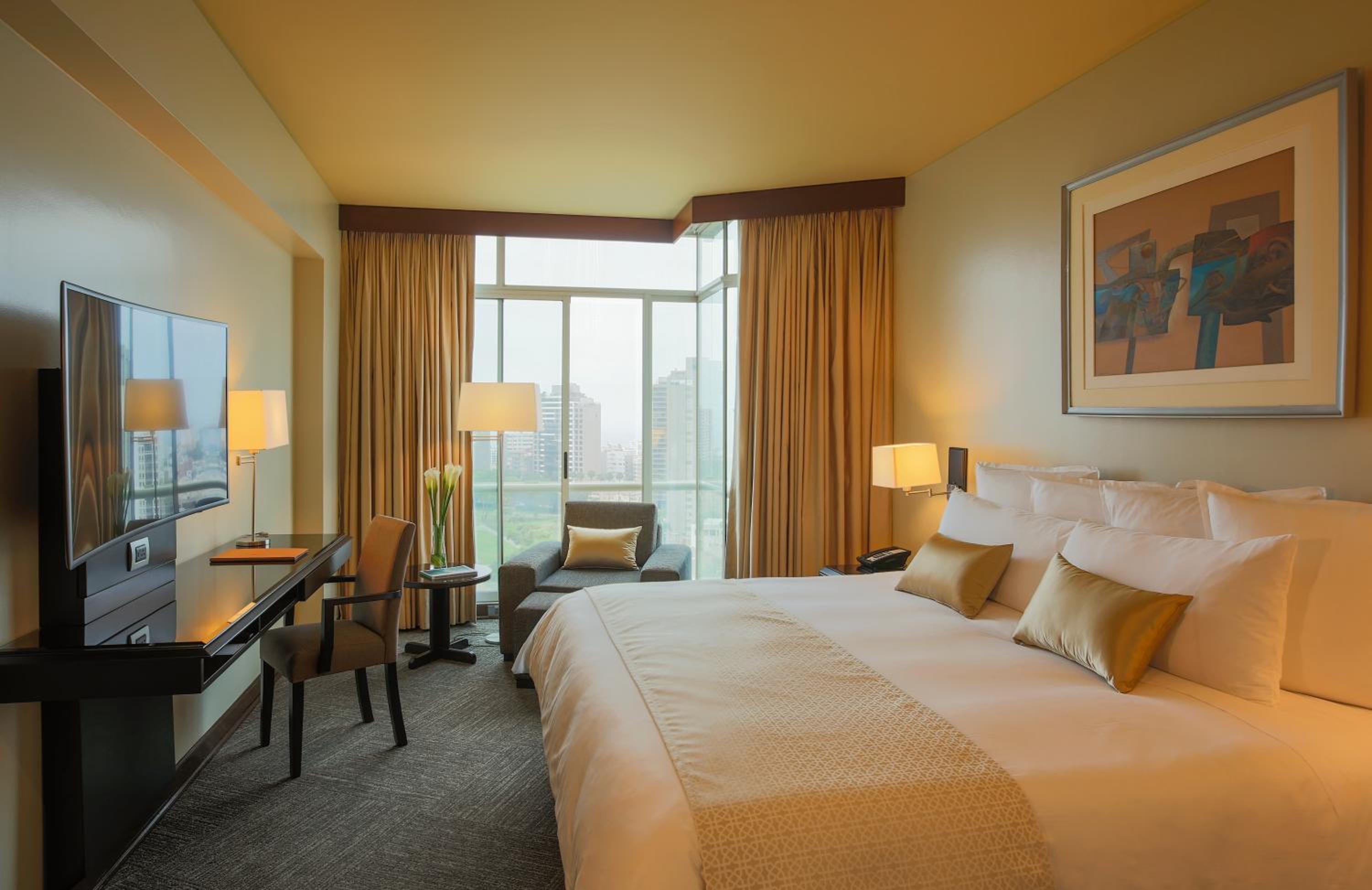 Deluxe Suite - Photo 4