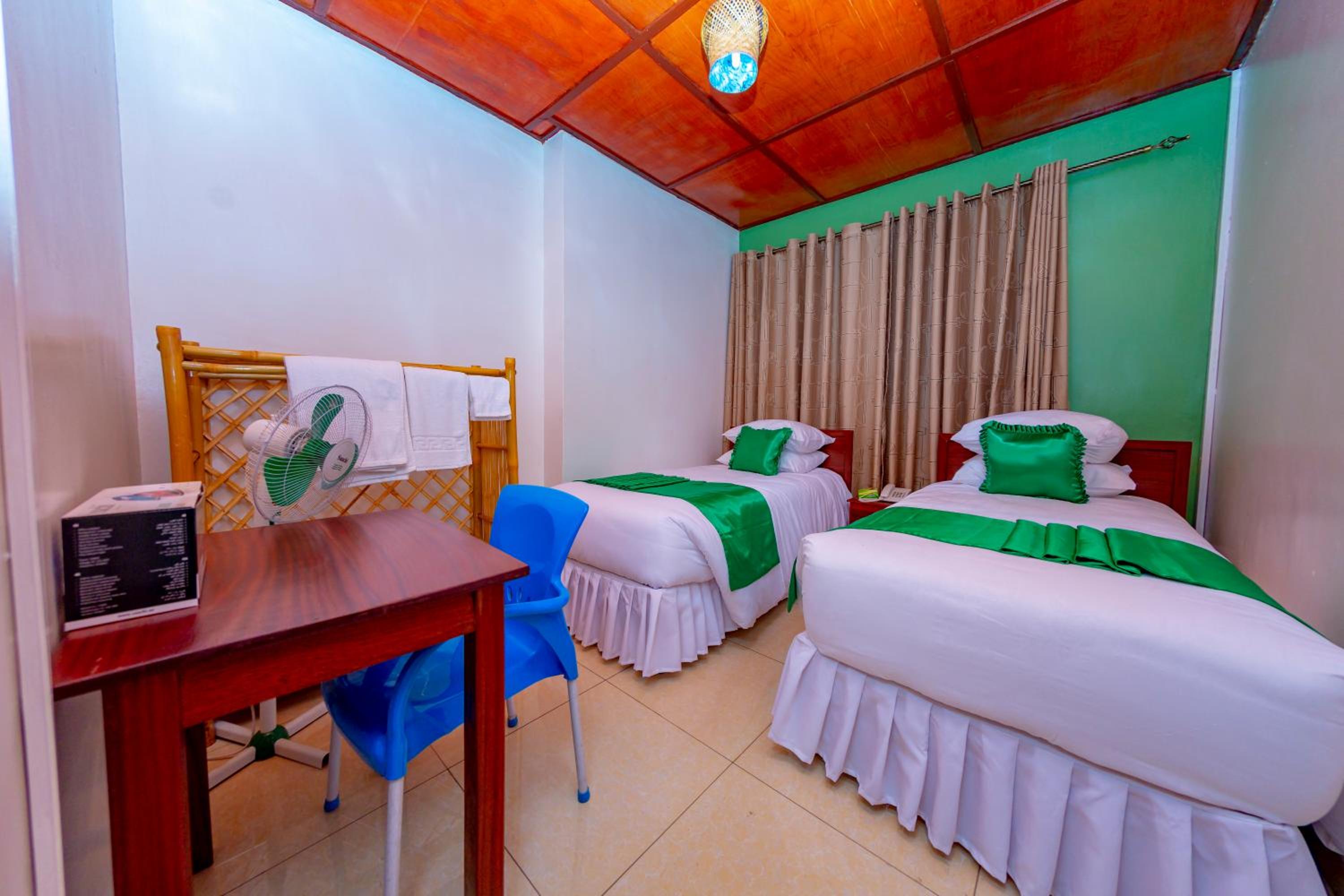 Twin Room photo 1