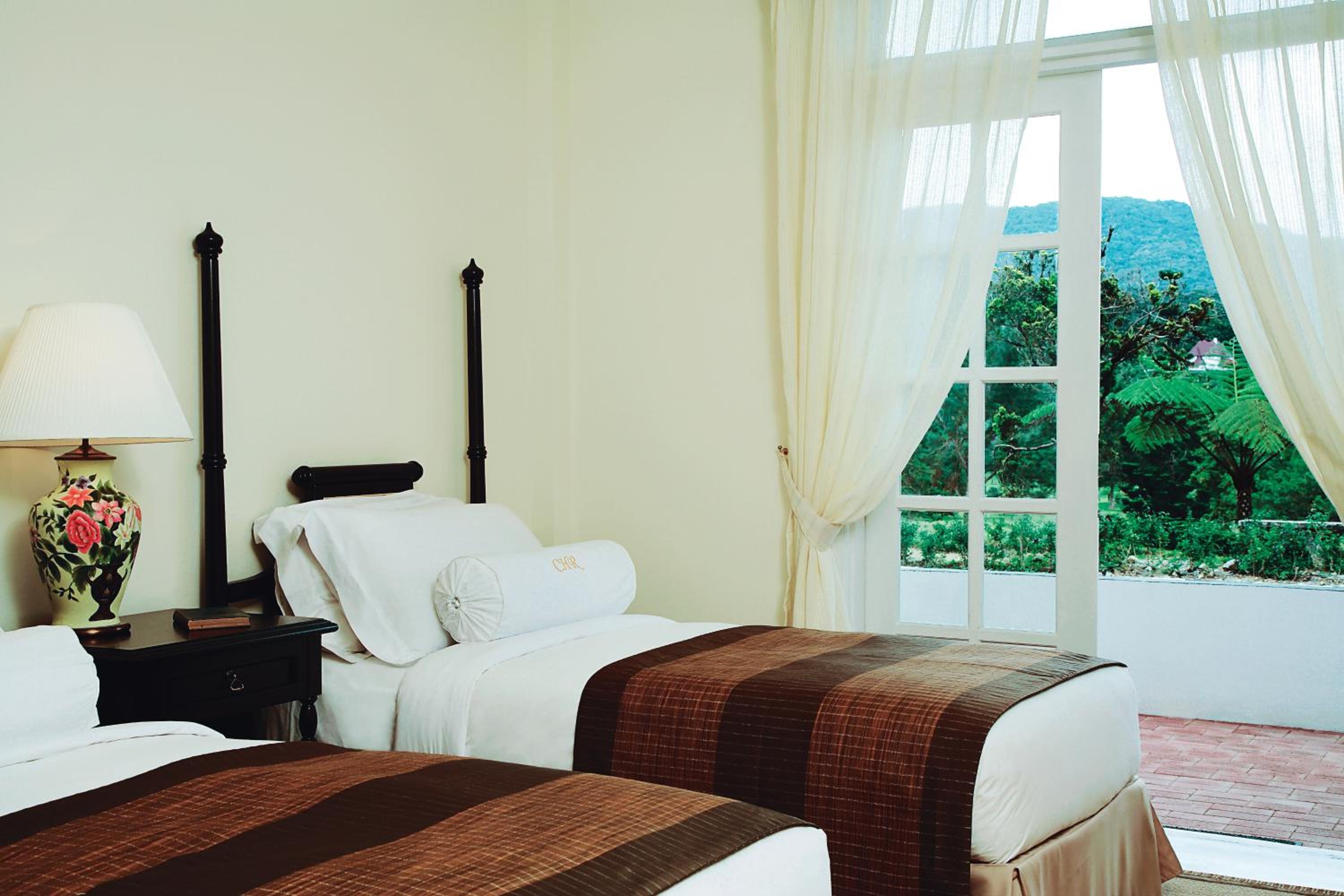 Deluxe Room - Christmas Tree Lighting Package