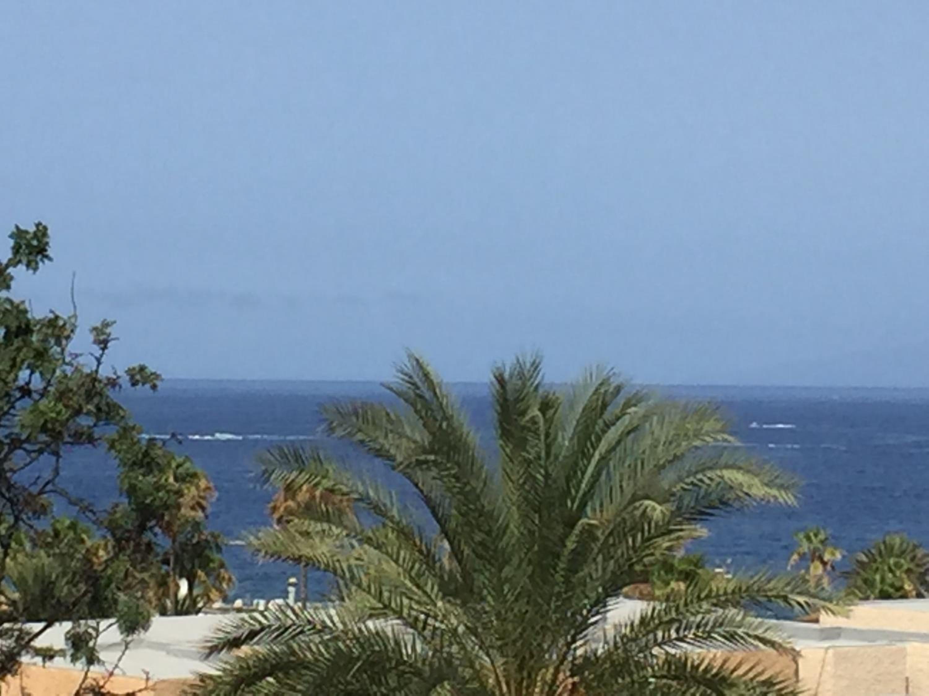 Studio Apartment with Sea View - Photo 13