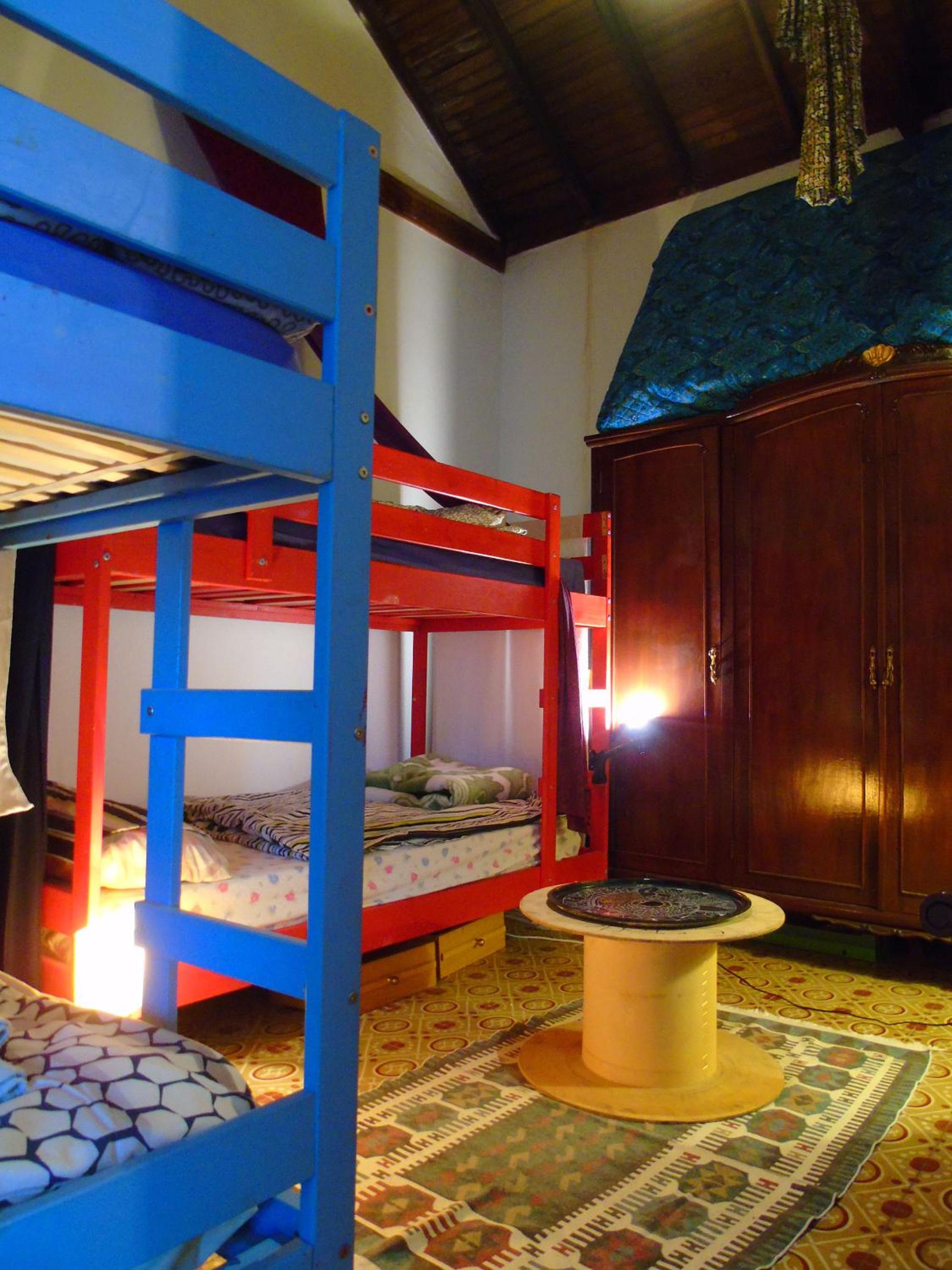 Bunk Bed in Mixed Dormitory Room photo 3