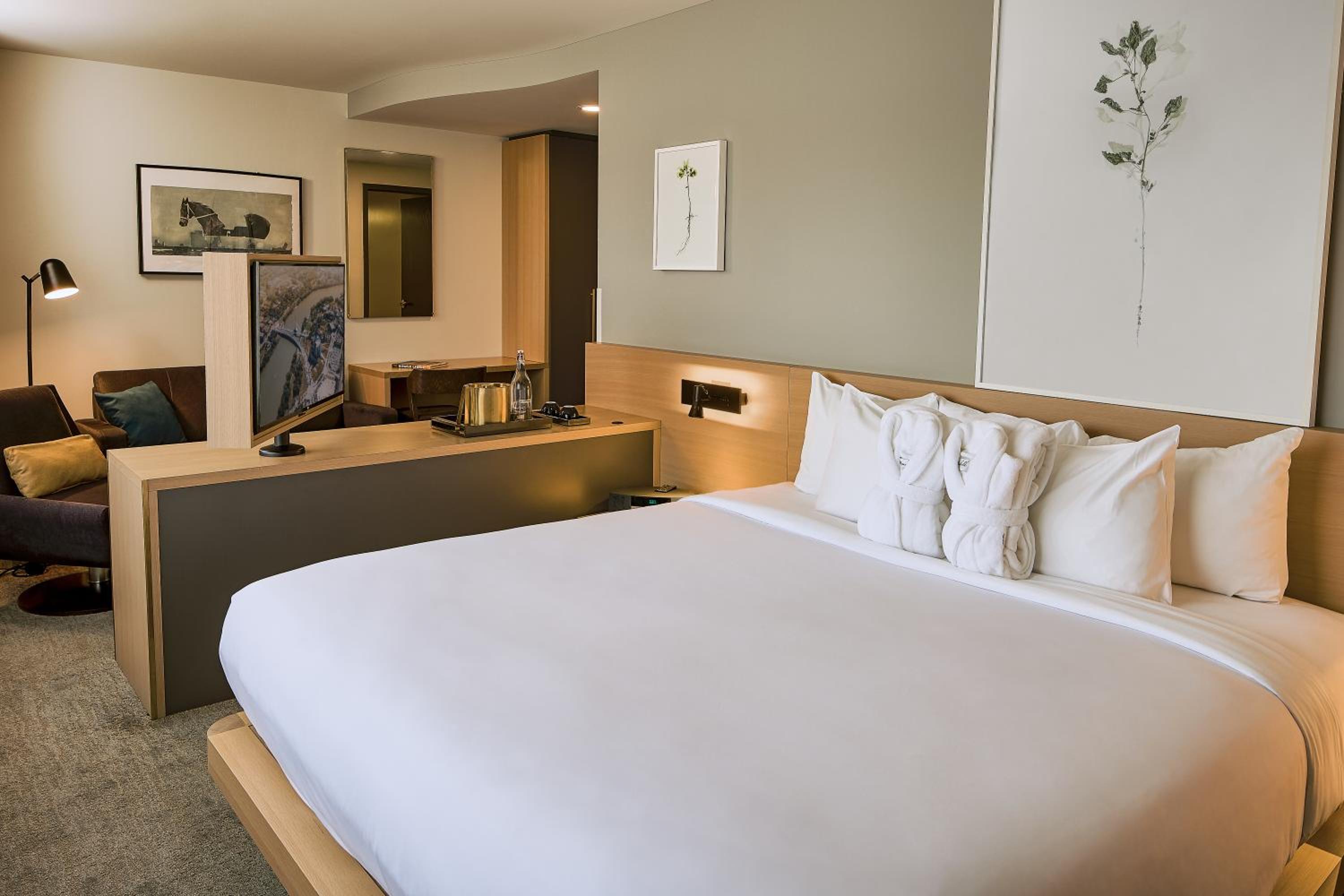 Standard Suite photo 1