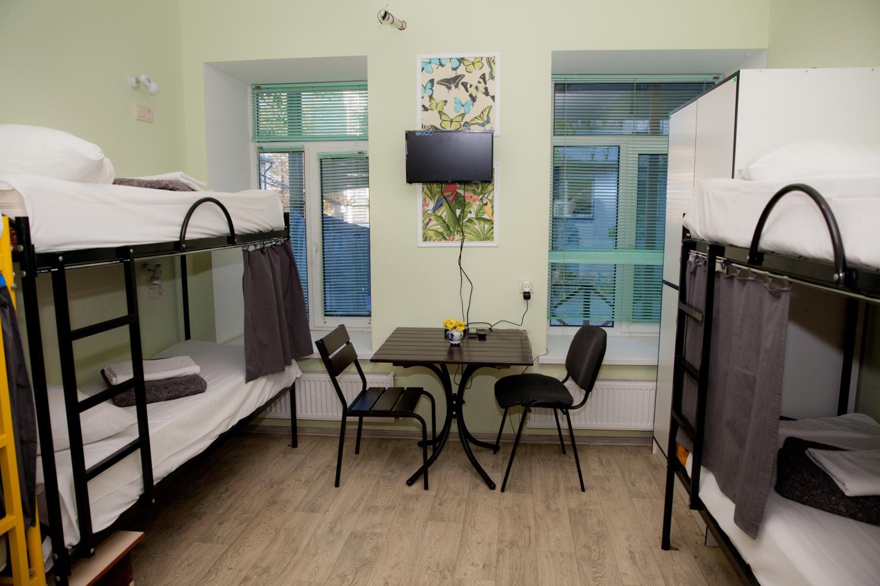 Bunk Bed in Mixed Dormitory Room photo 3